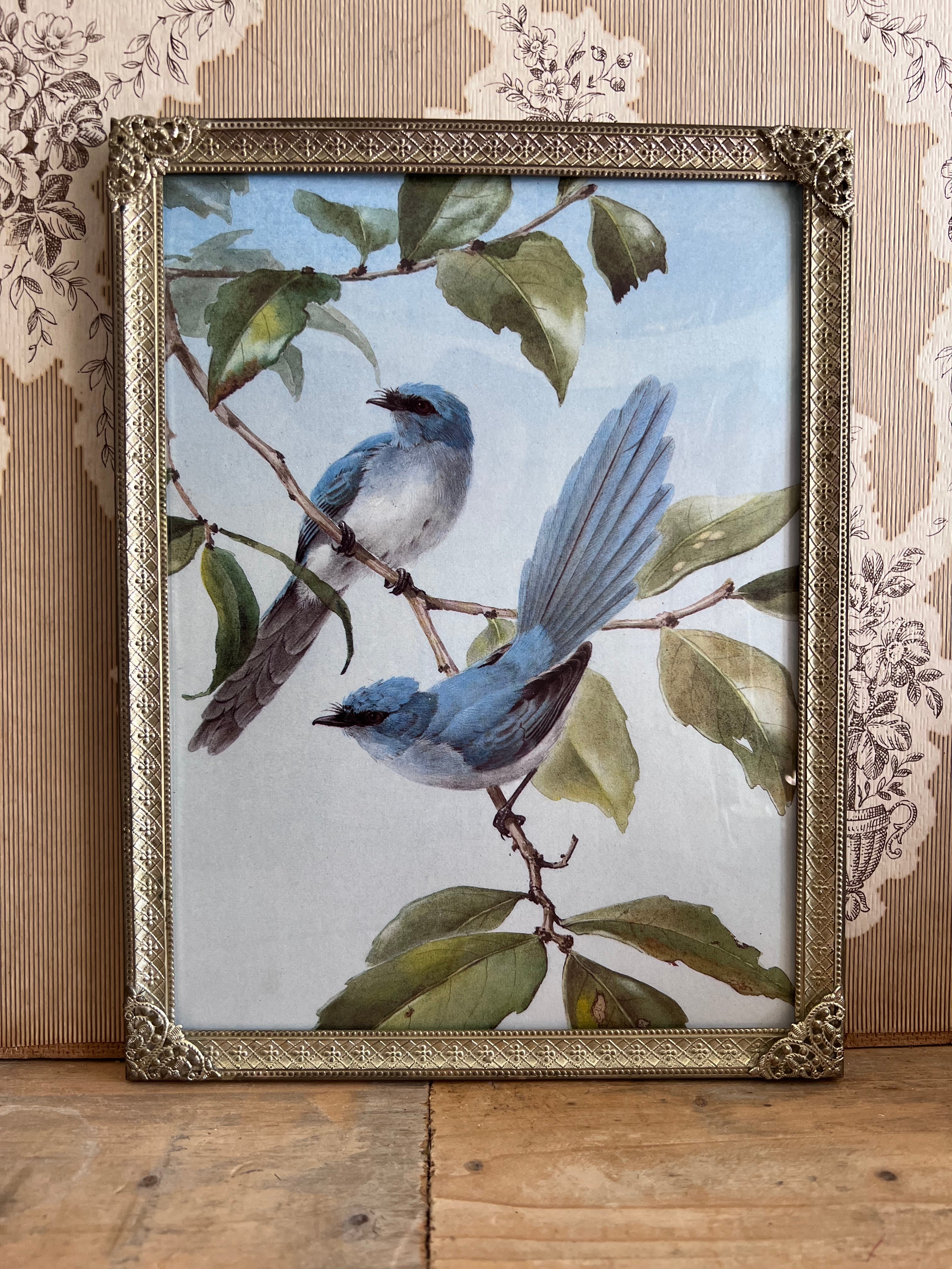 vintage fotolijst, fotolijst blauwe vogels, houten fotolijst vintage, vogelafbeelding lijst, landelijke woondecoratie, retro fotolijst, natuurfoto lijst, blauwe vogel decoratie