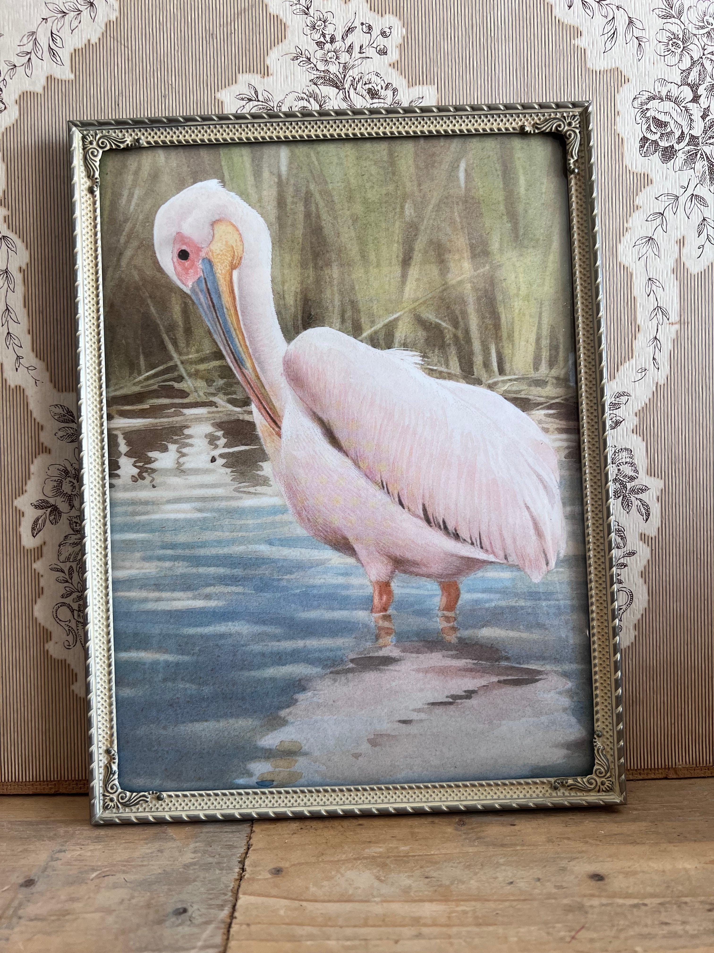 vintage fotolijst, fotolijst pelikaan, vintage vogel afbeelding, retro fotolijst, vintage woondecoratie, pelikaan illustratie, natuurlijke woonaccessoires, vintage muurdecoratie.