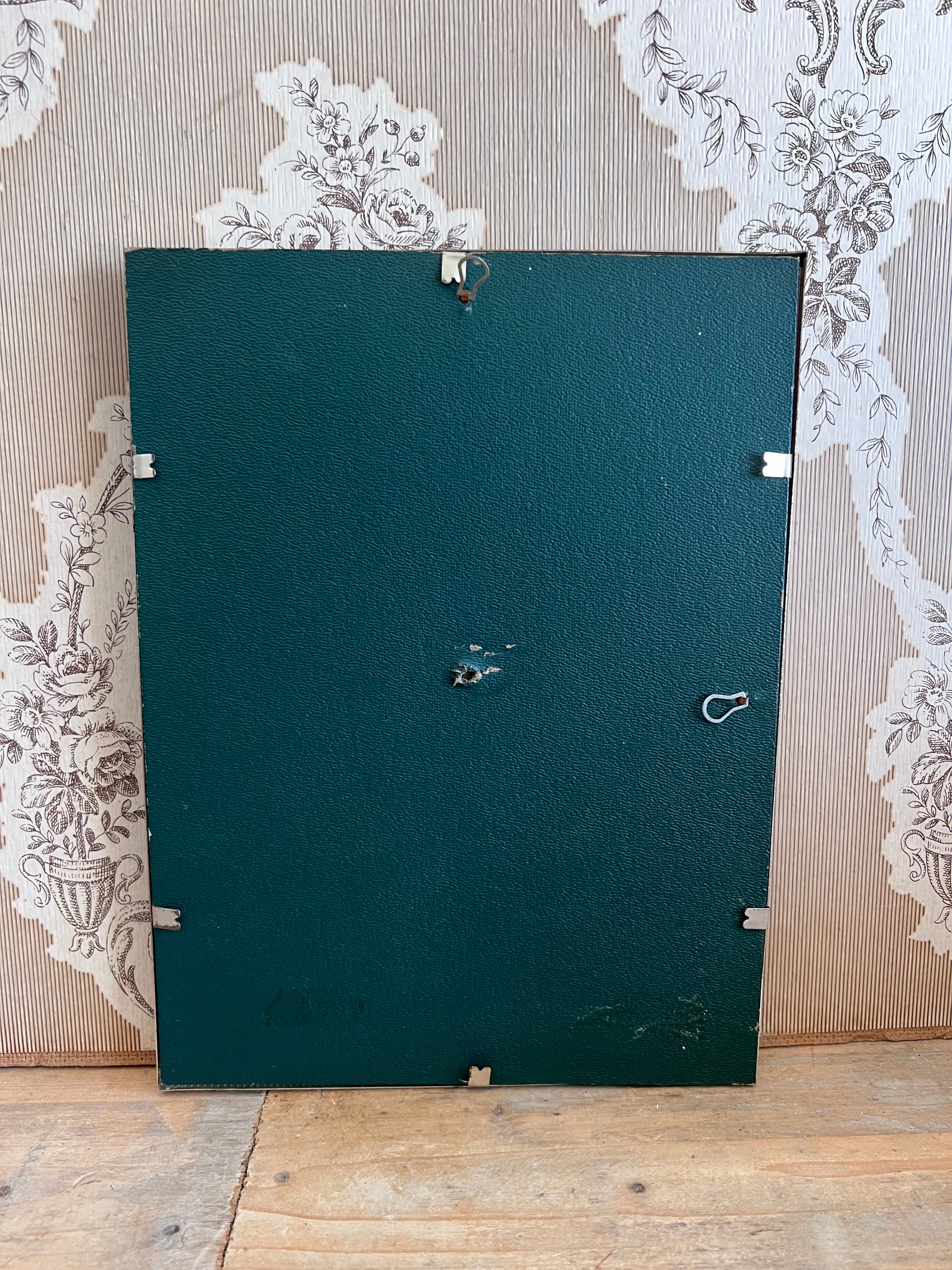 vintage fotolijst, jaren 70 afbeelding, fotolijst perzikkleurige rozen, retro fotolijst, vintage woondecoratie, jaren 70 woonaccessoires, fotolijst met bloemen, perzikkleurige rozen decoratie.