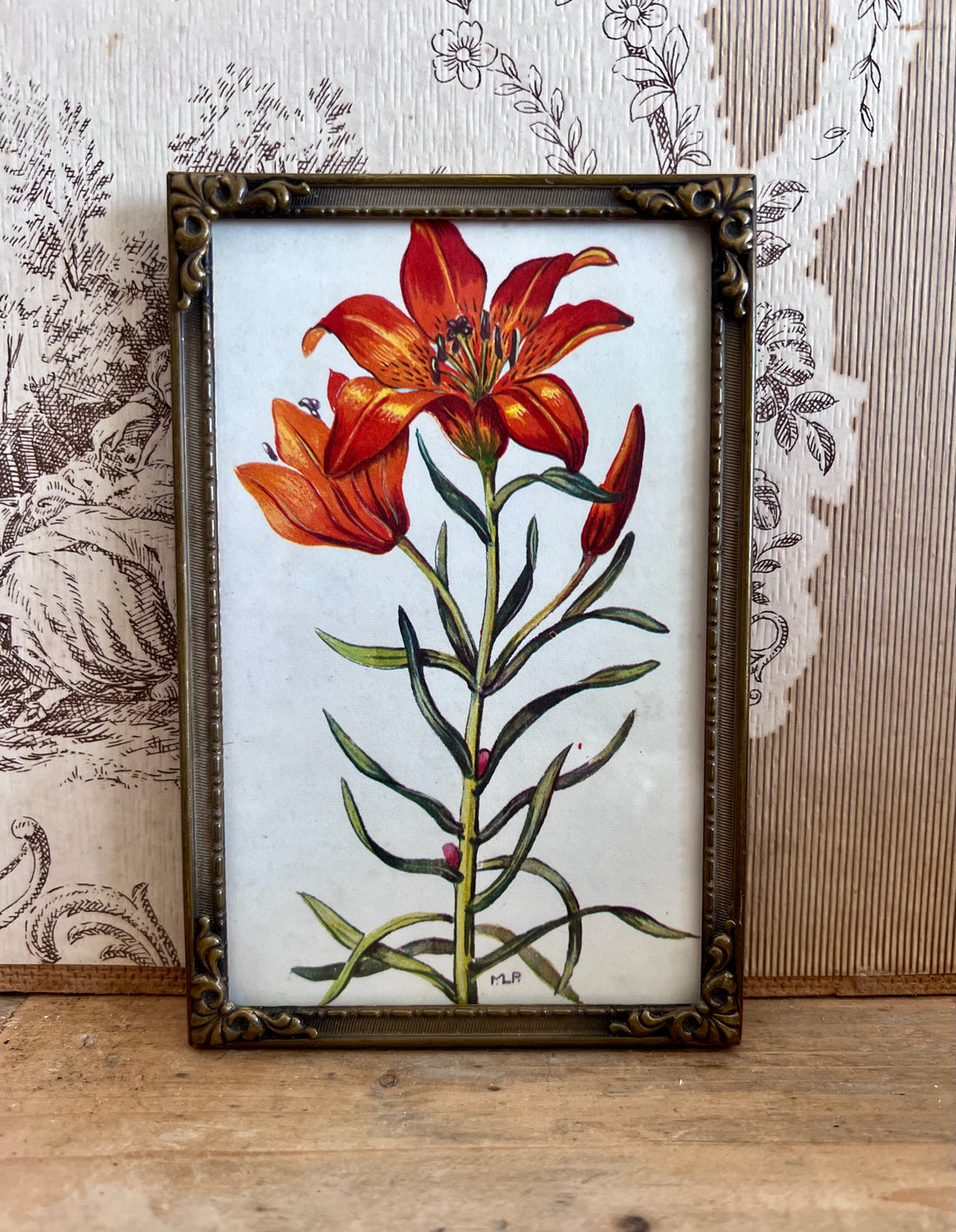 - vintage fotolijst
- vintage fotolijst bronskleurig
- bronskleurige fotolijst
- botanische afbeelding
- fotolijst met botanische afbeelding
- oranje lelie afbeelding
- vintage interieurdecoratie
- retro fotolijst