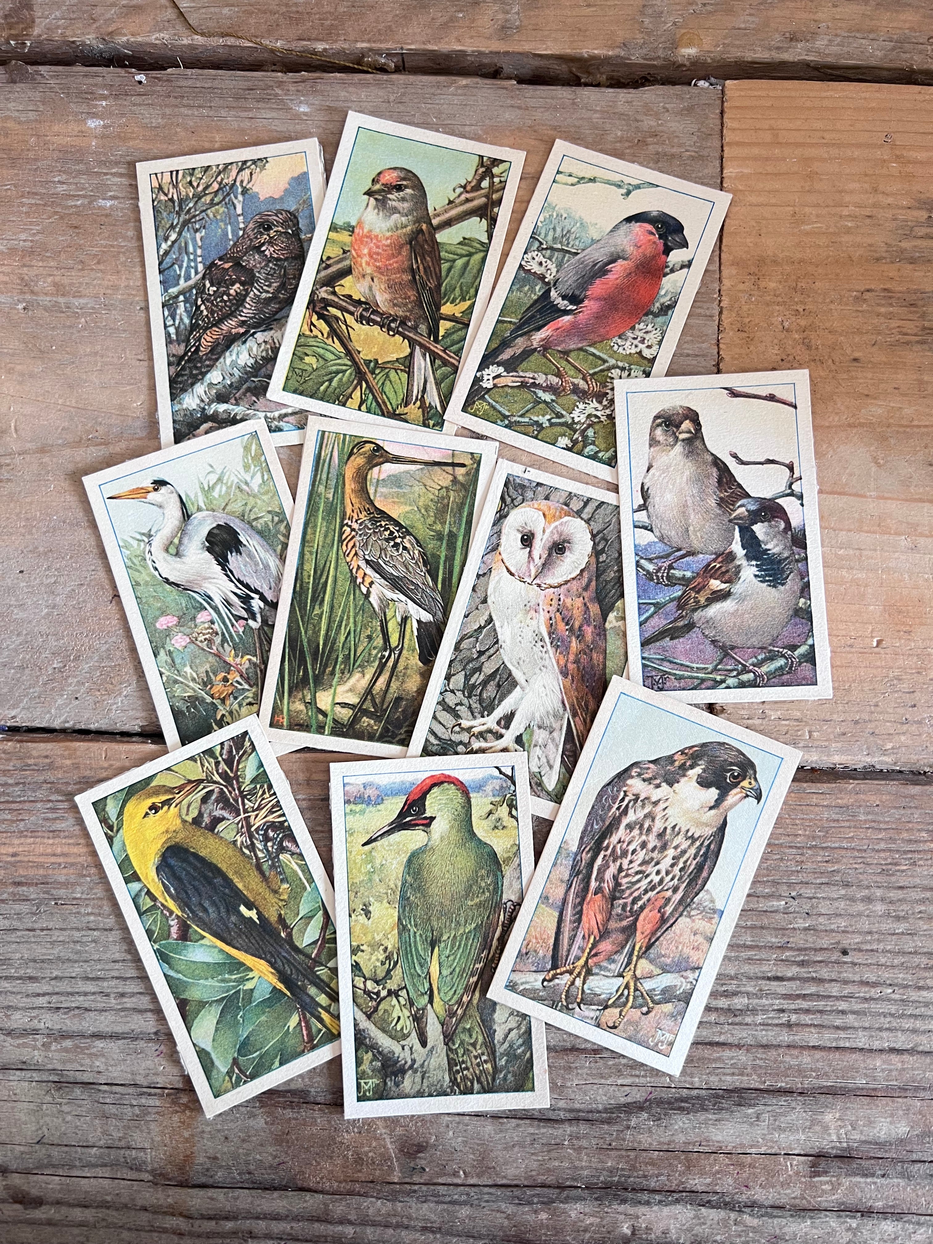verkadeplaatjes set, verkade plaatjes kopen, verkade plaatjes hans de torenkraai, originele verkadeplaatjes, verkadeplaatjes verzamelen, vintage verkade plaatjes, verkadeplaatjes knutselen, nostalgische verkade plaatjes