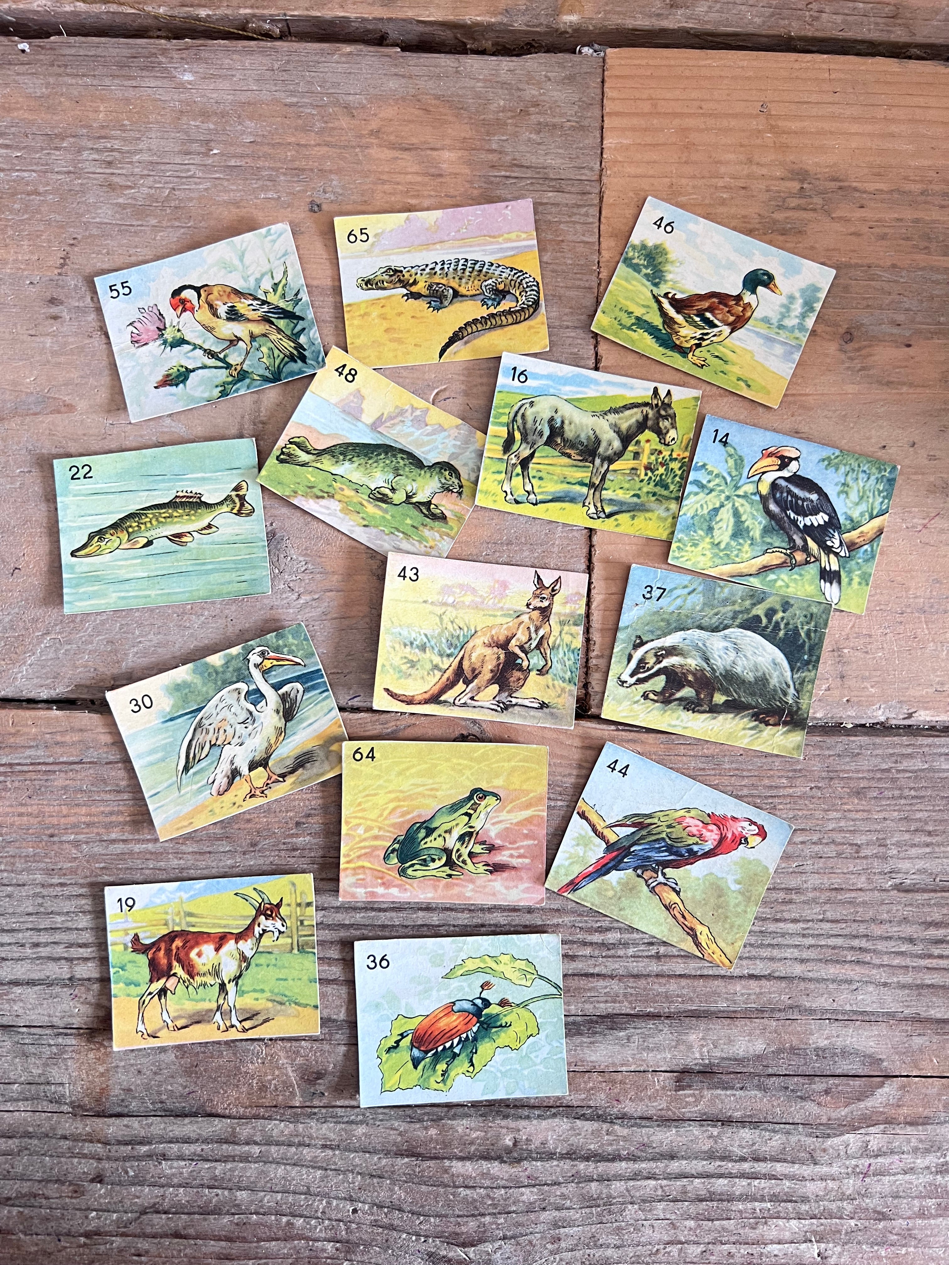 vintage dierenplaatjes, dierenplaatjes set 16 stuks, vintage dieren afbeeldingen, vintage scrapbooking, art journal dieren, creatieve hobby dierenplaatjes, oude dierenplaatjes verzamelen, retro dierenprint, dierenplaatjes voor kaarten maken, vintage collectie dieren