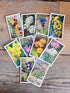 verkadeplaatjes set, verkade plaatjes kopen, verkade plaatjes hans de torenkraai, originele verkadeplaatjes, verkadeplaatjes verzamelen, vintage verkade plaatjes, verkadeplaatjes knutselen, nostalgische verkade plaatjes
