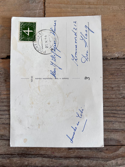 Vintage kaart met narcissen, ansichtkaart 1961 met narcissen