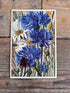 vintage ansichtkaart korenbloem, onbeschreven ansichtkaart bloemen, bloemen ansichtkaarten vintage, ansichtkaart korenbloem blauw, botanische ansichtkaarten, nostalgische ansichtkaarten kopen, vintage kaarten verzamelen, ansichtkaart korenbloem &nbsp;
