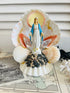 Stella Maris schelpen