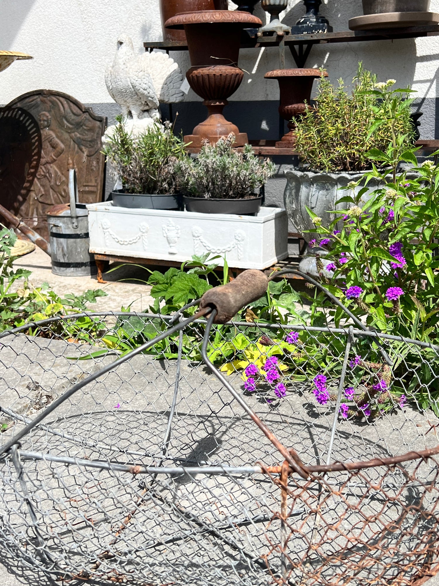 Franse plukmand/oogstmand