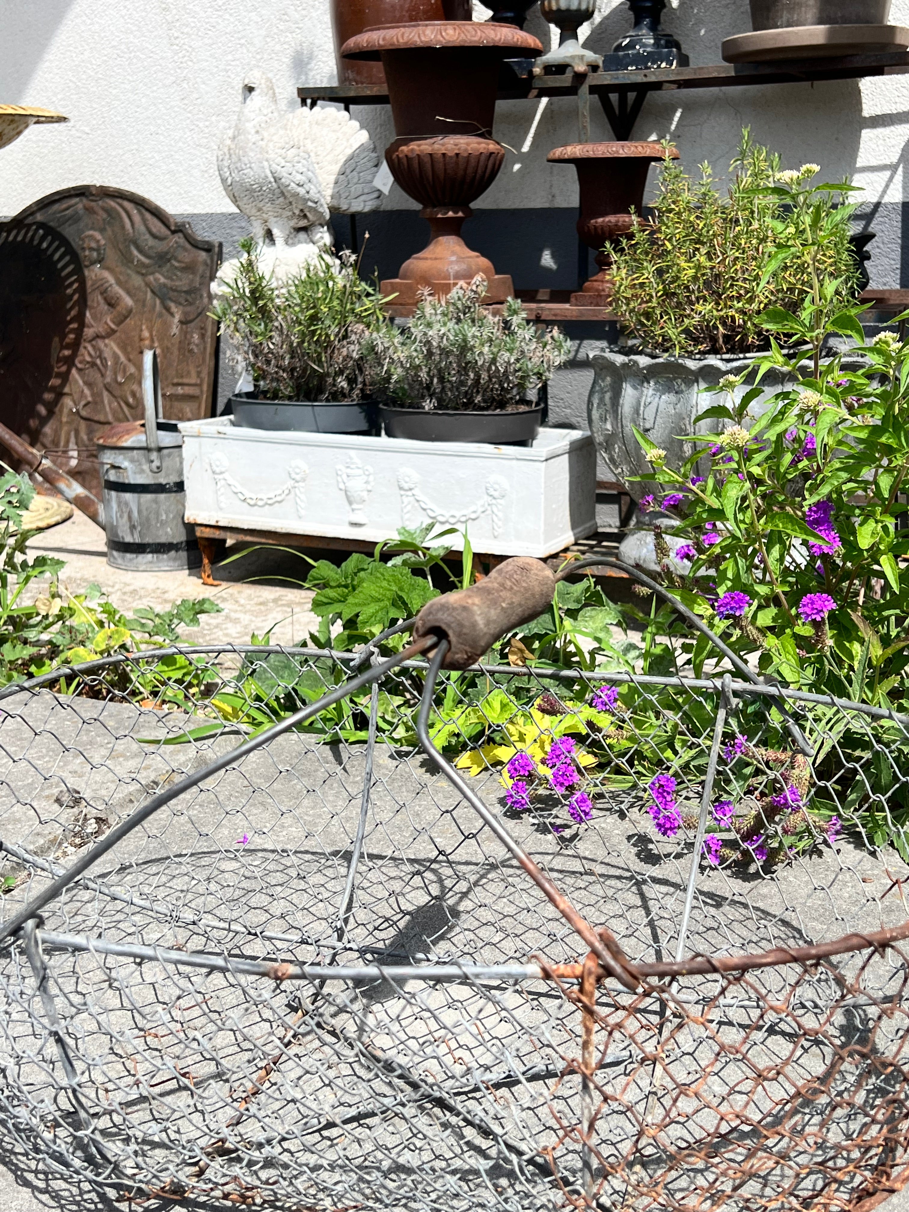 Franse plukmand/oogstmand