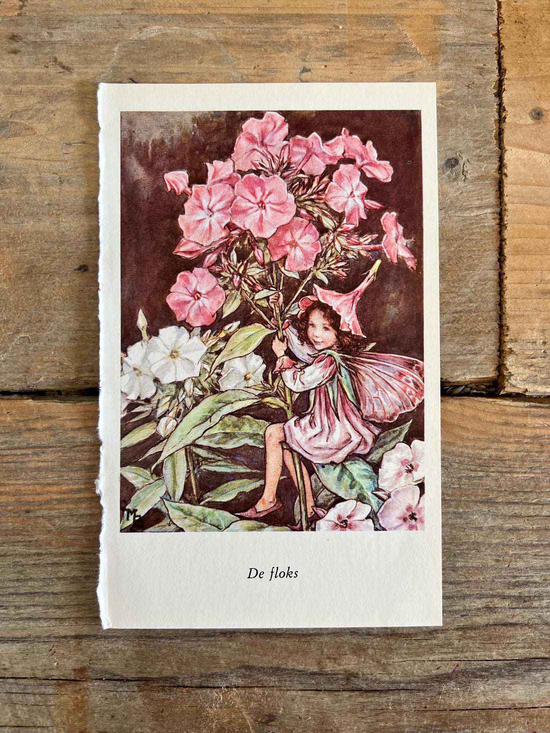 Illustratie Flower Fairies - De Floks