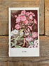 Illustratie Flower Fairies - De Floks