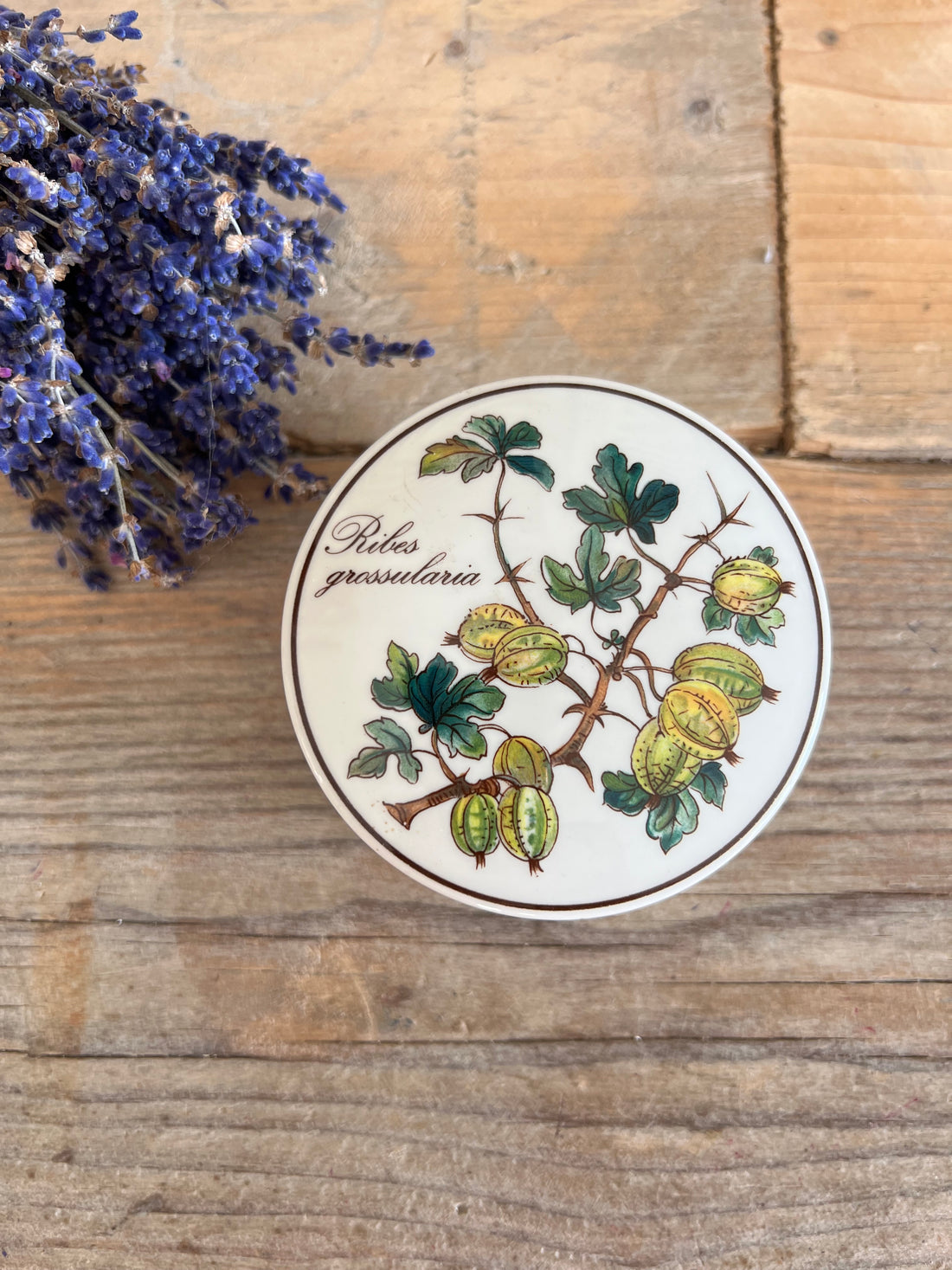 Villeroy &amp; Boch Botanica mini dekseldoos ribes grossulara