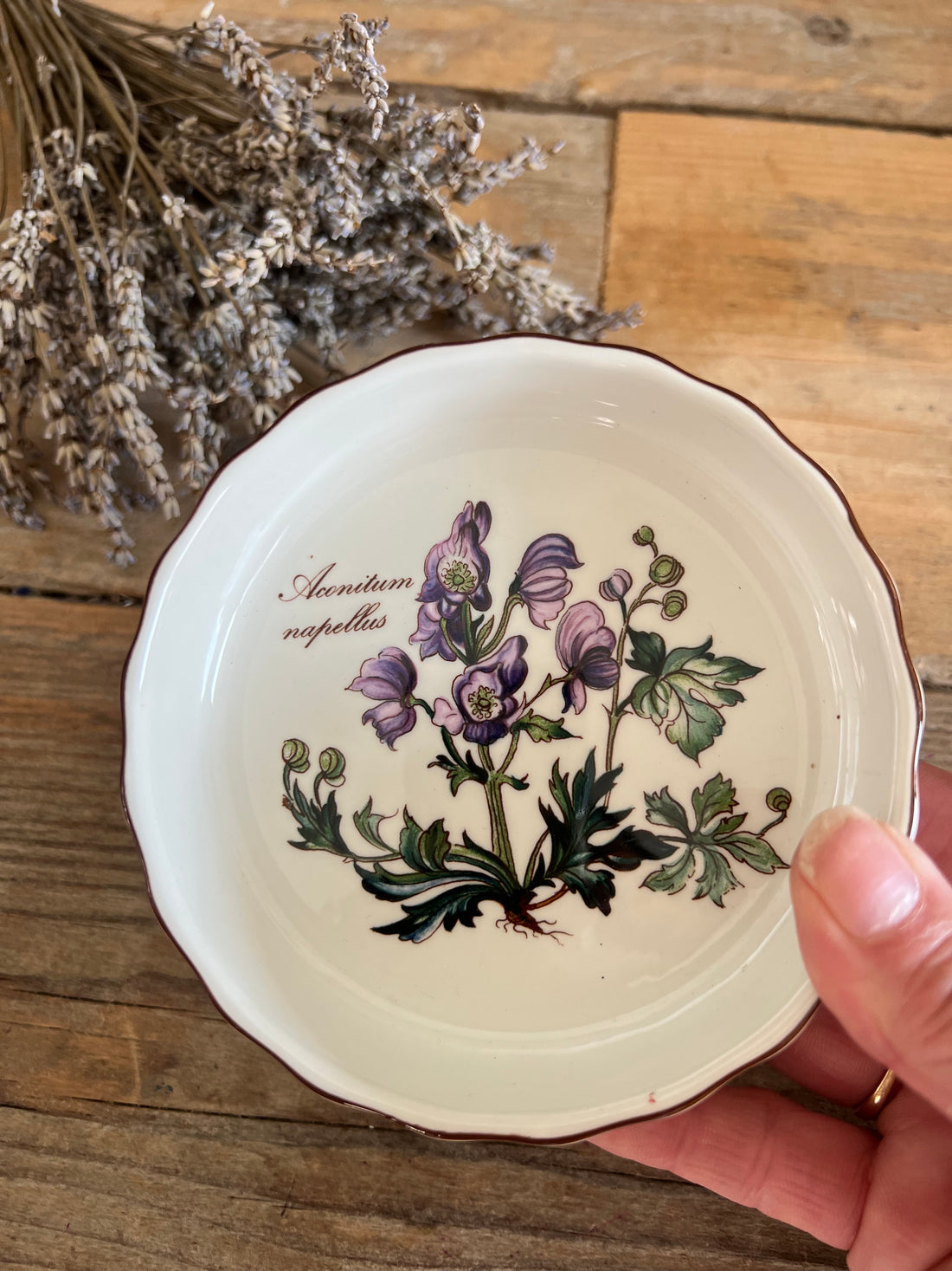 Villeroy &amp; Boch ovenschaaltje Aconitum Napellus