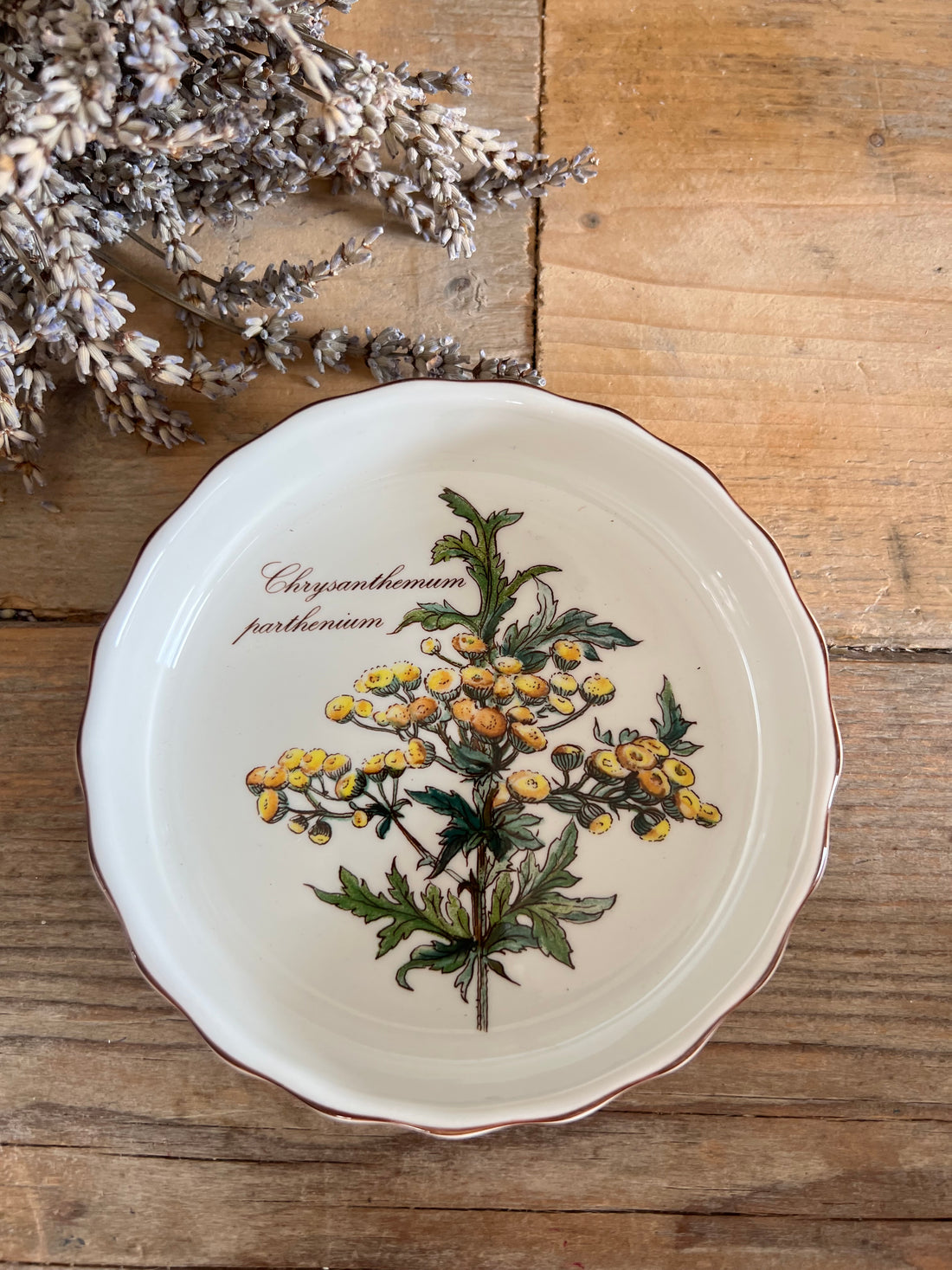 Villeroy &amp; Boch Botanica ovenschaaltje chrysanthemum parthenium