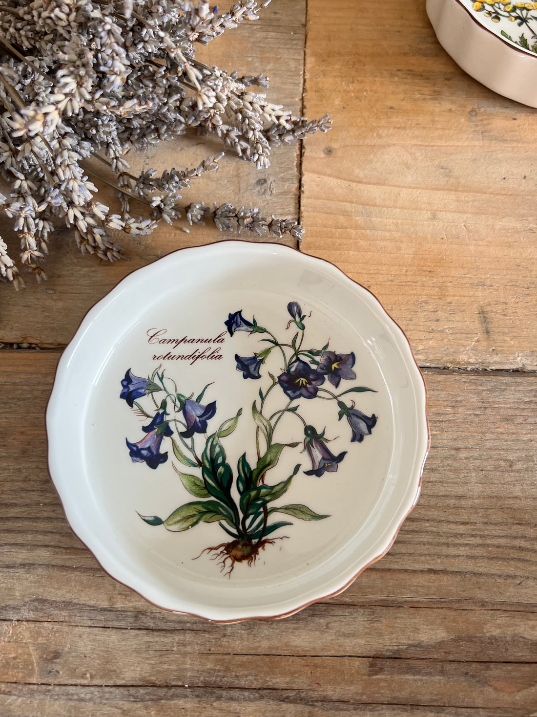 Villeroy &amp; Boch Botanica ovenschaaltje campanula rotundifolia