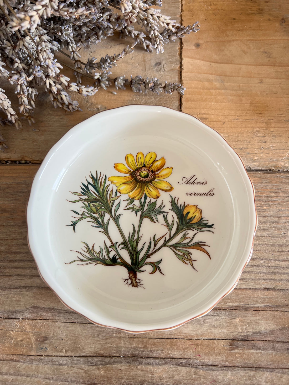 Villeroy &amp; Boch Botanica ovenschaaltje adonis vernalis