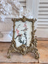 Rococo fotolijst, messing fotolijst antiek, antieke fotolijst, fotolijst met vogelillustratie, brocante fotolijst, vintage messing lijst, nostalgische fotolijst, klassieke fotolijst messing,&nbsp;
