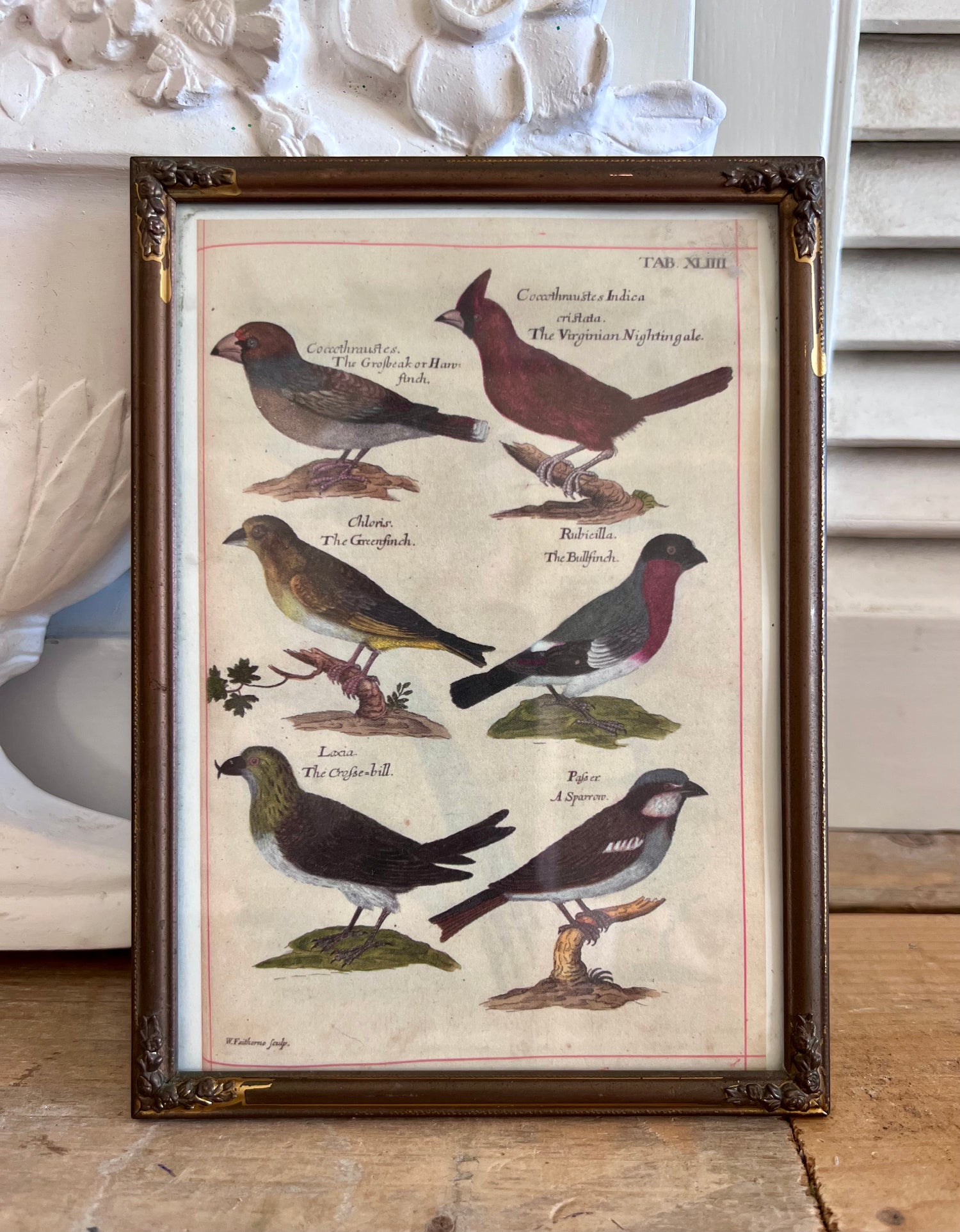 vintage fotolijst, fotolijst vogels, brocante fotolijst, landelijke woondecoratie, shabby chic fotolijst, vogelafbeelding kader, decoratieve fotolijst, vintage interieuraccessoires, Sofia’s Brocante.
