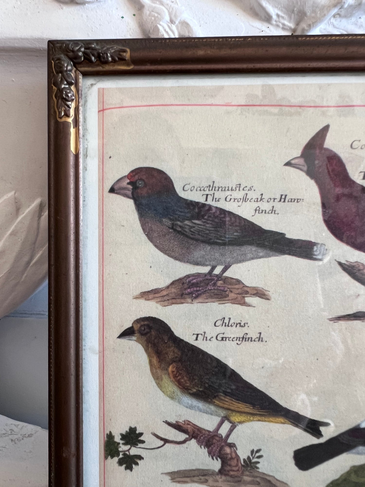 vintage fotolijst, fotolijst vogels, brocante fotolijst, landelijke woondecoratie, shabby chic fotolijst, vogelafbeelding kader, decoratieve fotolijst, vintage interieuraccessoires, Sofia’s Brocante.