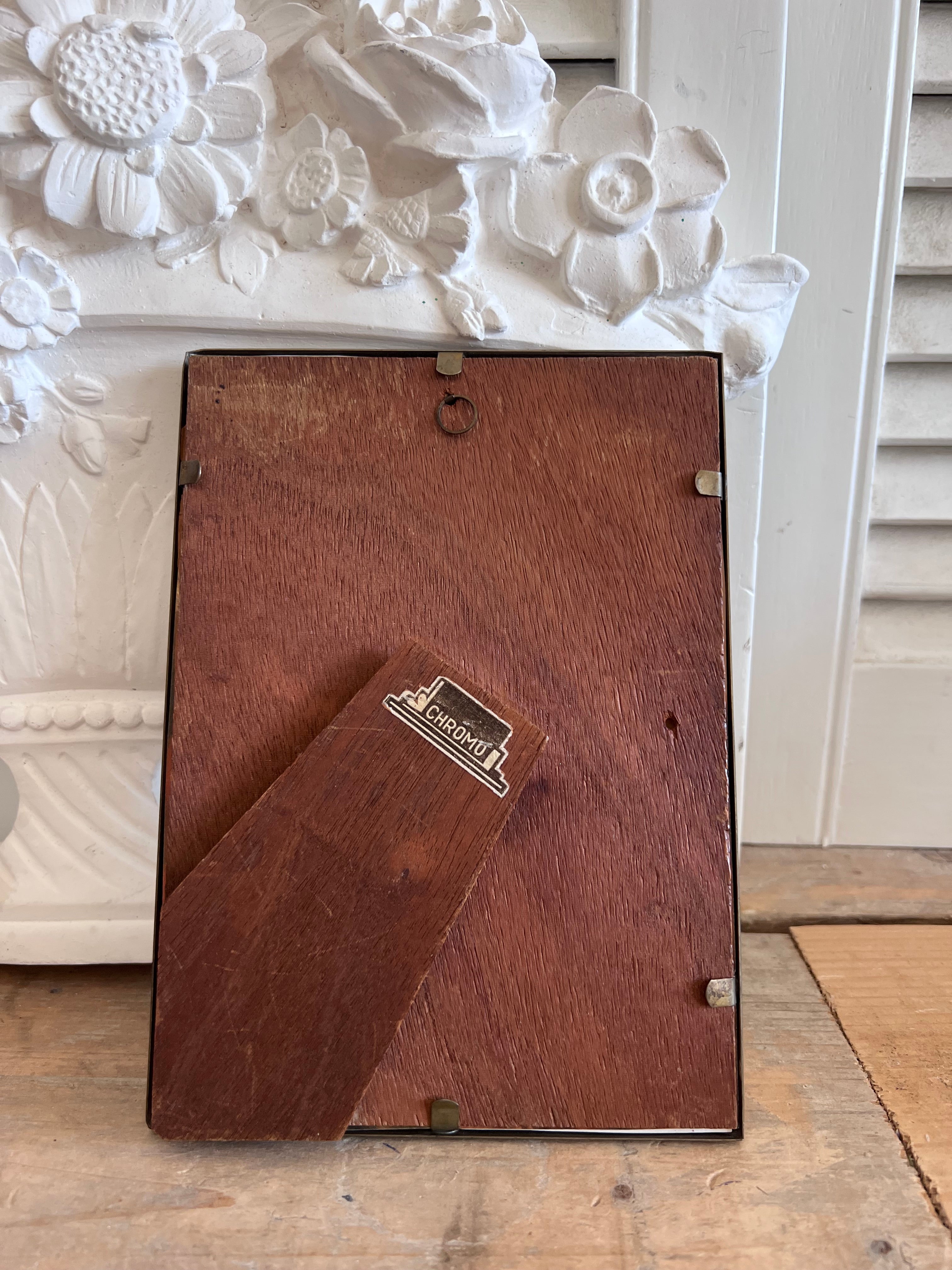 Vintage fotolijst met afbeelding boerenwormkruidplant