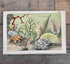
vintage prent Dierenwereld van het water, prent koraal 1912, antieke natuurillustratie, vintage natuurprent, plaat XIX koraal, prent uit 1912, historische natuurkunst, oude wetenschappelijke prent, vintage onderwaterillustratie, decoratieve vintage prent