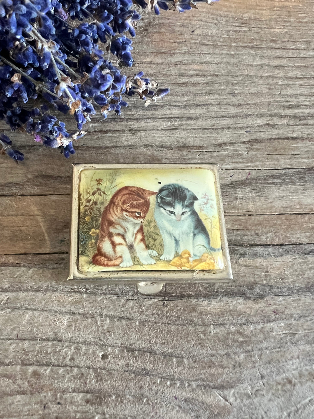 Pillendoosje met kittens vintage