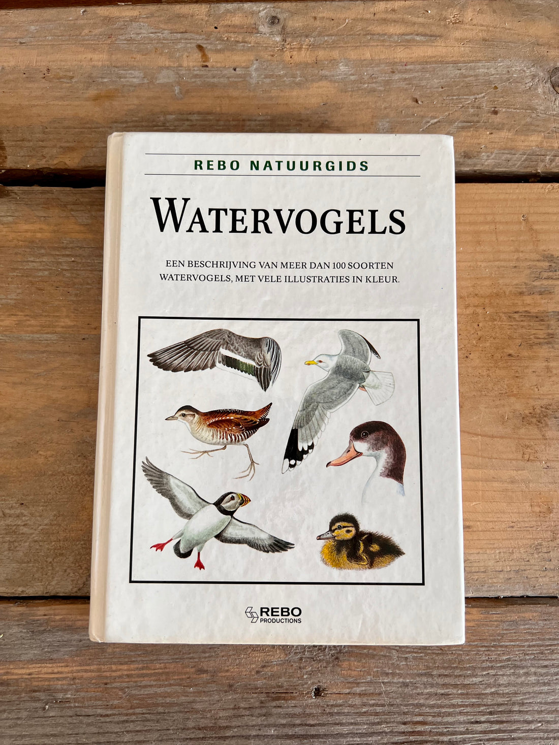 Nature guide waterfowl