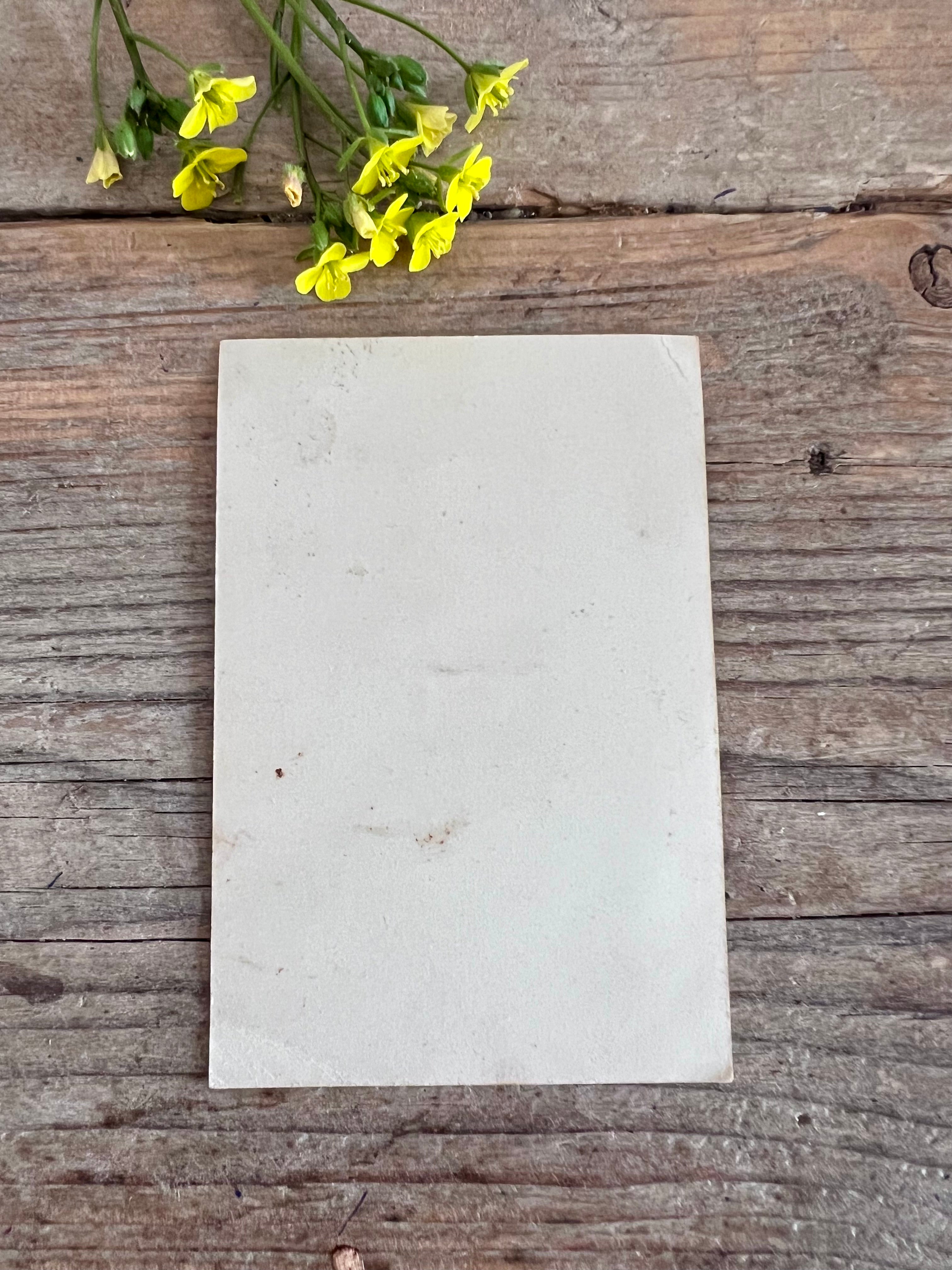 Wilhelmina prentje uit 1915 - historisch verzamelobject
