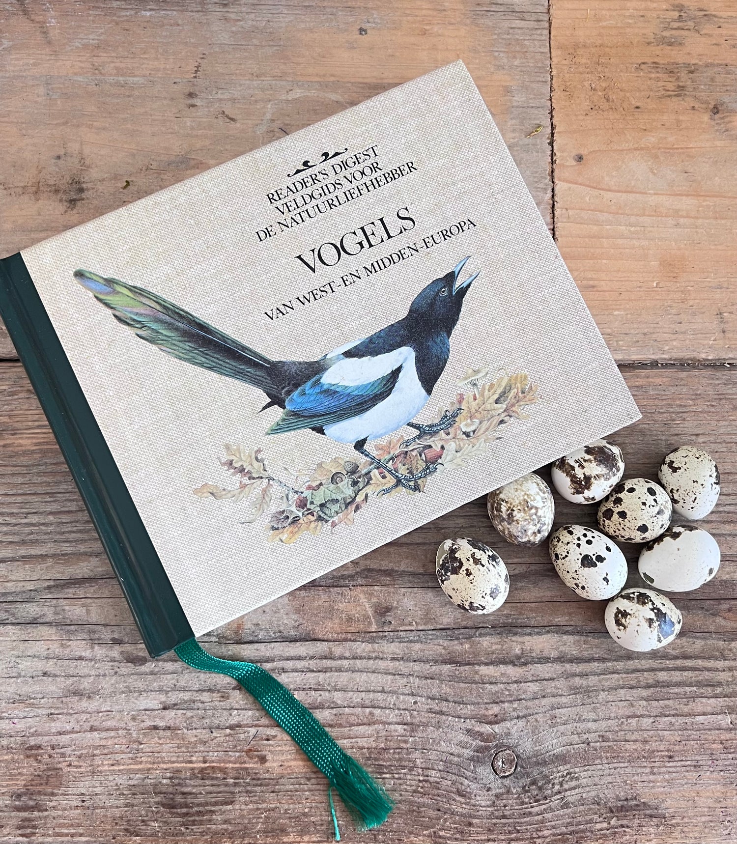 - vogelboek &amp;nbsp;
- vogels herkennen boek &amp;nbsp;
- vogelgids Nederland &amp;nbsp;
- vogelen Nederland &amp;nbsp;
- boek over vogels &amp;nbsp;
- vogels determineren &amp;nbsp;
- vogelliefhebbers cadeau &amp;nbsp;
- ornithologie boek &amp;nbsp;
- vogels in Nederland gids &amp;nbsp;
- Readers Digest vogelboek 
