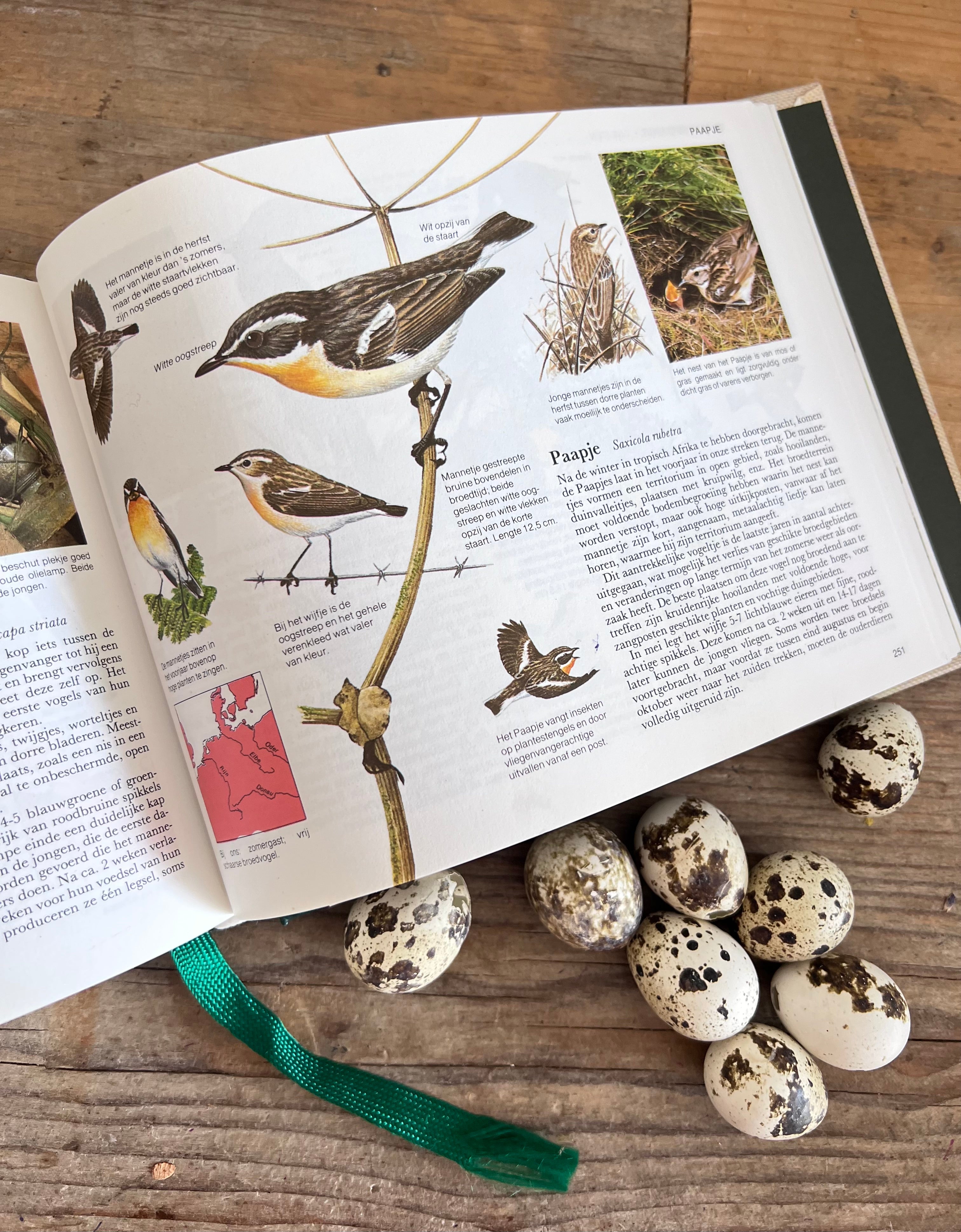 - vogelboek &amp;nbsp;
- vogels herkennen boek &amp;nbsp;
- vogelgids Nederland &amp;nbsp;
- vogelen Nederland &amp;nbsp;
- boek over vogels &amp;nbsp;
- vogels determineren &amp;nbsp;
- vogelliefhebbers cadeau &amp;nbsp;
- ornithologie boek &amp;nbsp;
- vogels in Nederland gids &amp;nbsp;
- Readers Digest vogelboek 