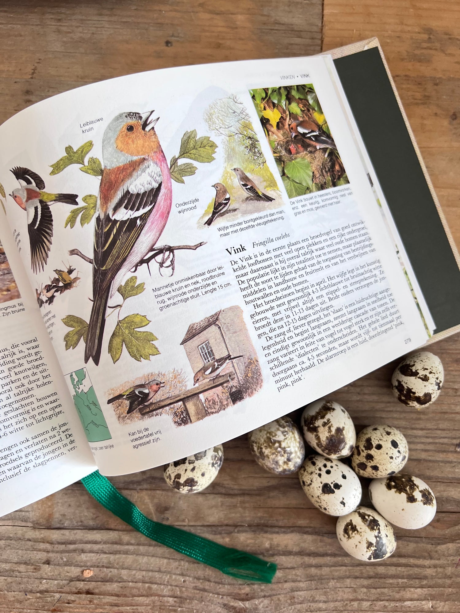 - vogelboek &amp;nbsp;
- vogels herkennen boek &amp;nbsp;
- vogelgids Nederland &amp;nbsp;
- vogelen Nederland &amp;nbsp;
- boek over vogels &amp;nbsp;
- vogels determineren &amp;nbsp;
- vogelliefhebbers cadeau &amp;nbsp;
- ornithologie boek &amp;nbsp;
- vogels in Nederland gids &amp;nbsp;
- Readers Digest vogelboek 