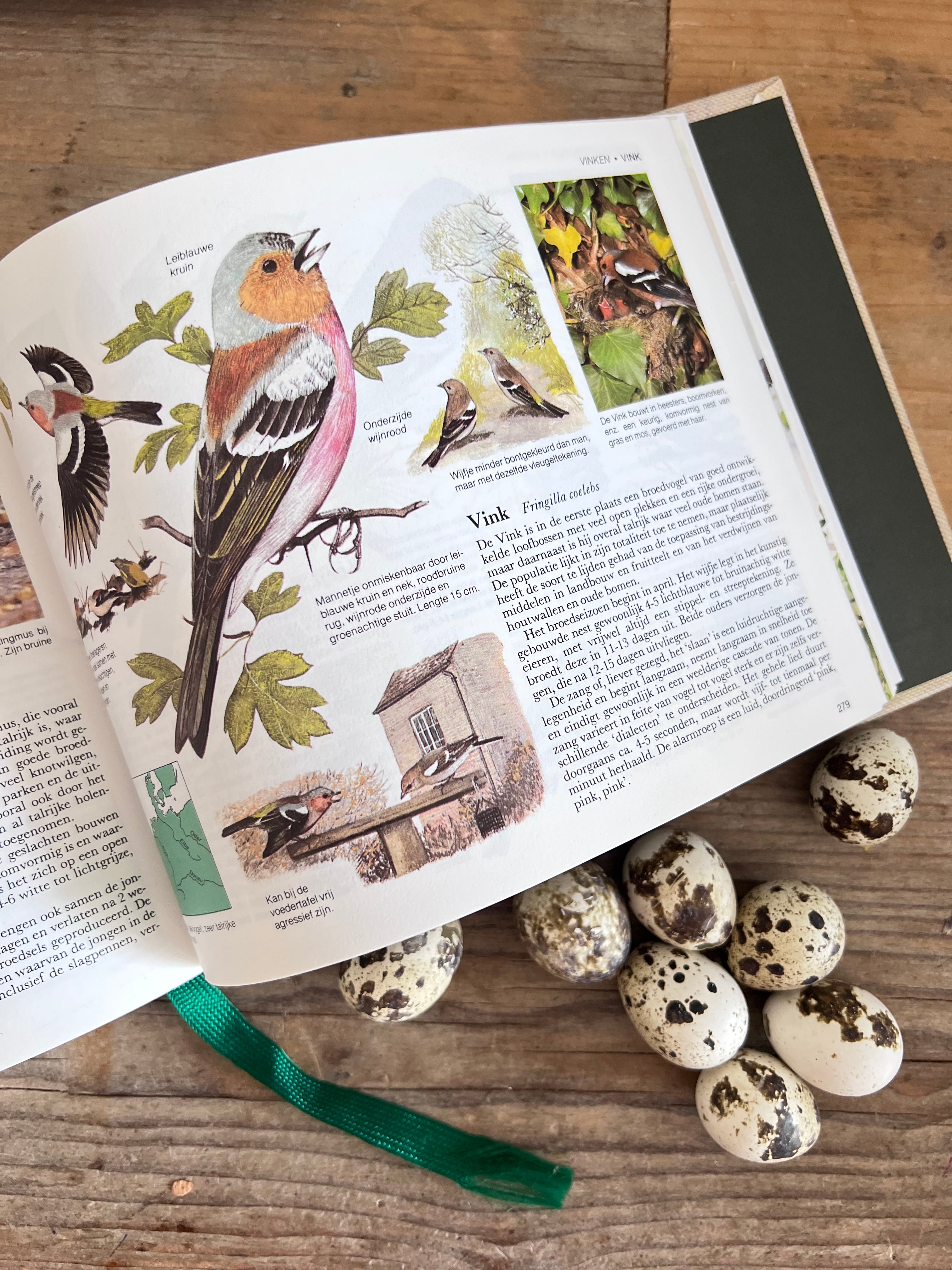 - vogelboek &amp;nbsp;
- vogels herkennen boek &amp;nbsp;
- vogelgids Nederland &amp;nbsp;
- vogelen Nederland &amp;nbsp;
- boek over vogels &amp;nbsp;
- vogels determineren &amp;nbsp;
- vogelliefhebbers cadeau &amp;nbsp;
- ornithologie boek &amp;nbsp;
- vogels in Nederland gids &amp;nbsp;
- Readers Digest vogelboek 