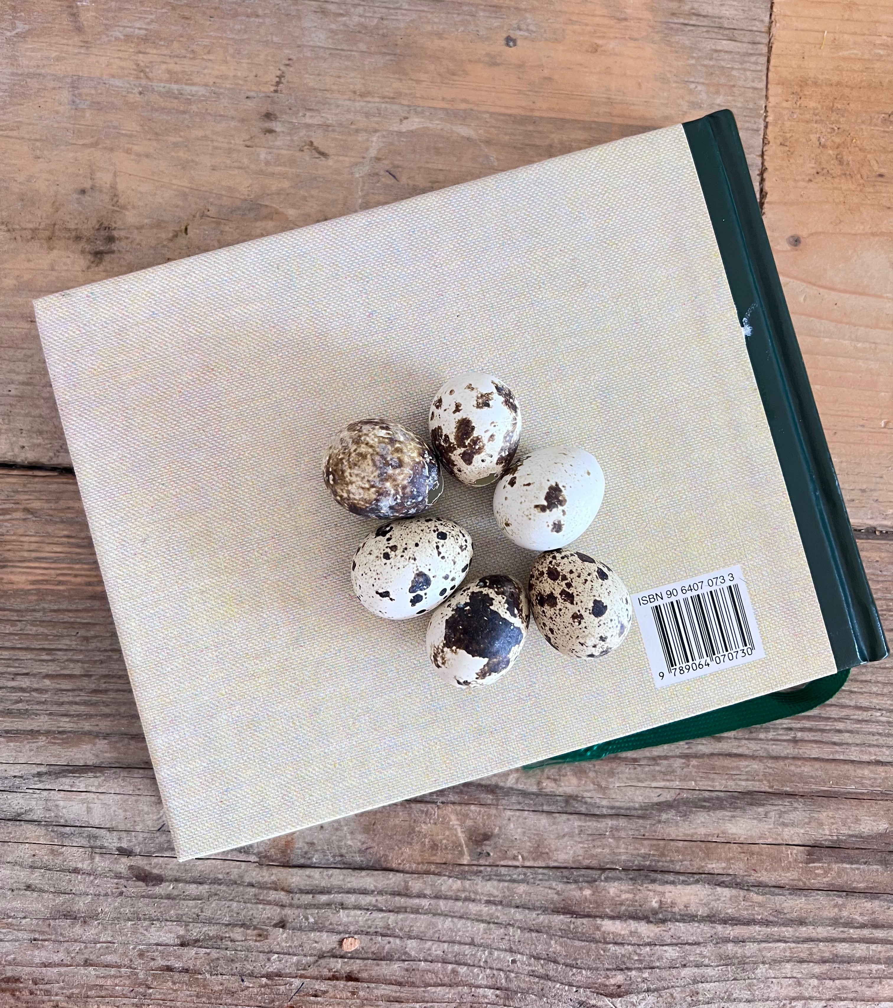- vogelboek &amp;nbsp;
- vogels herkennen boek &amp;nbsp;
- vogelgids Nederland &amp;nbsp;
- vogelen Nederland &amp;nbsp;
- boek over vogels &amp;nbsp;
- vogels determineren &amp;nbsp;
- vogelliefhebbers cadeau &amp;nbsp;
- ornithologie boek &amp;nbsp;
- vogels in Nederland gids &amp;nbsp;
- Readers Digest vogelboek 