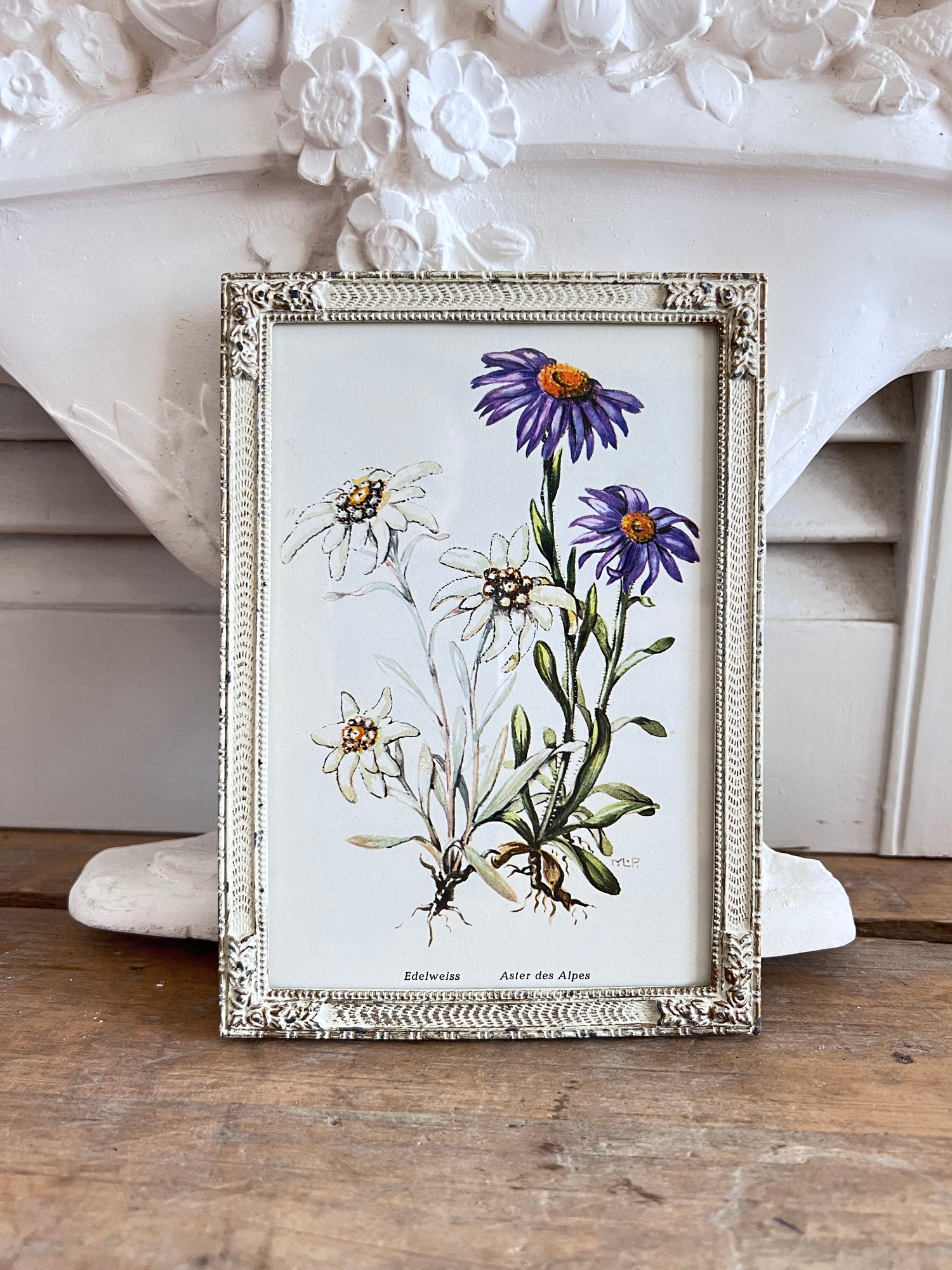  - vintage fotolijst botanisch &amp;nbsp;
- botanische afbeelding edelweiss aster &amp;nbsp;
- metalen fotolijst vintage &amp;nbsp;
- decoratieve fotolijst bloemen &amp;nbsp;
- botanische sfeer in huis &amp;nbsp;
- retro fotolijst met plantenprint &amp;nbsp;
- vintage woondecoratie botanisch &amp;nbsp;
- handgemaakte botanische print lijst &amp;nbsp;
- botanische wanddecoratie &amp;nbsp;
- sfeervolle vintage fotolijst 