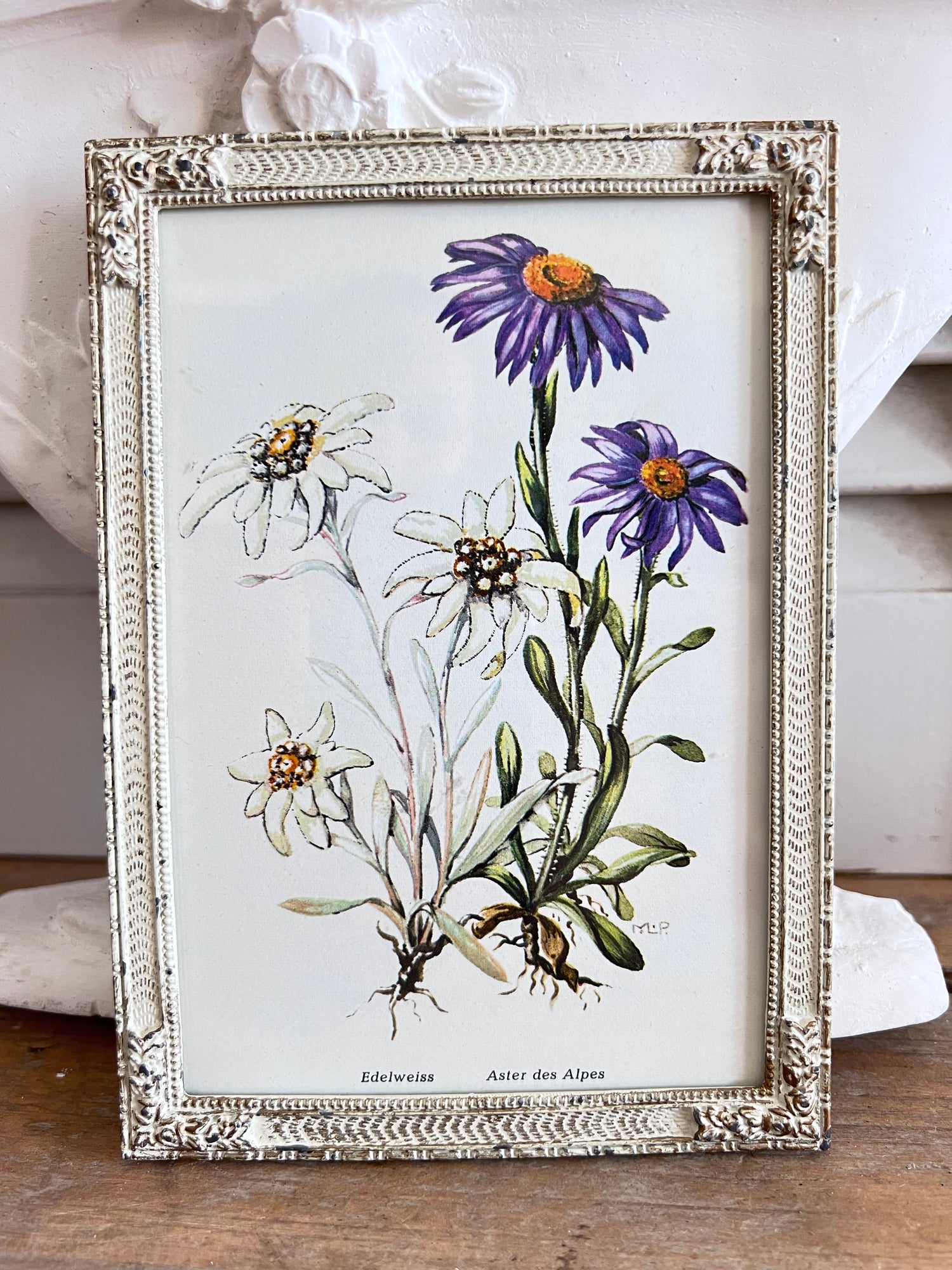  - vintage fotolijst botanisch &amp;nbsp;
- botanische afbeelding edelweiss aster &amp;nbsp;
- metalen fotolijst vintage &amp;nbsp;
- decoratieve fotolijst bloemen &amp;nbsp;
- botanische sfeer in huis &amp;nbsp;
- retro fotolijst met plantenprint &amp;nbsp;
- vintage woondecoratie botanisch &amp;nbsp;
- handgemaakte botanische print lijst &amp;nbsp;
- botanische wanddecoratie &amp;nbsp;
- sfeervolle vintage fotolijst 