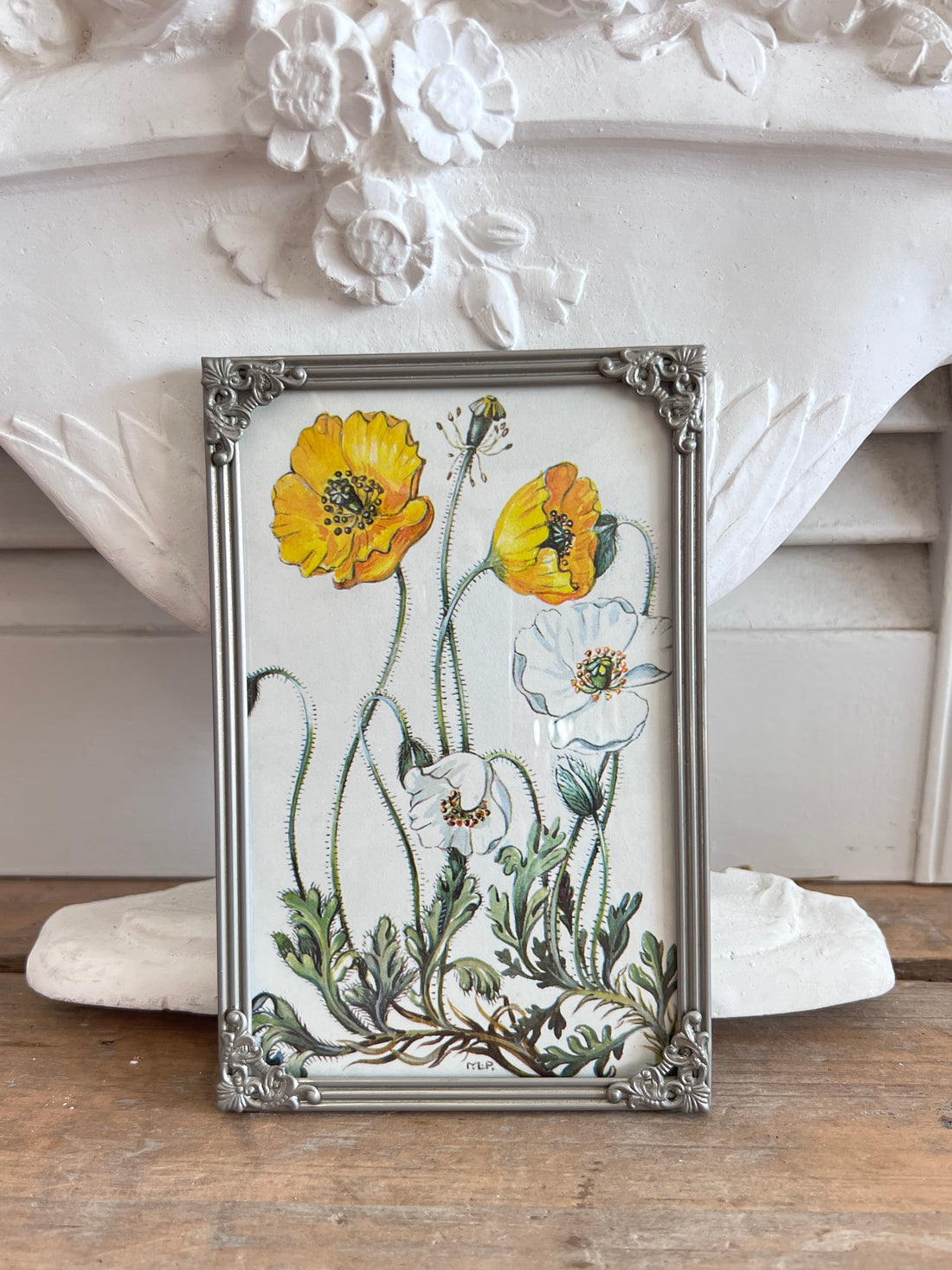 &amp;nbsp;vintage fotolijstje, fotolijstje met illustratie, gele klaproos, botanische fotolijst, sfeervolle fotolijst, fotolijstje huisdecoratie, tijdloze fotolijst, decoratie woonkamer, houten fotolijst, natuurprint lijstje.