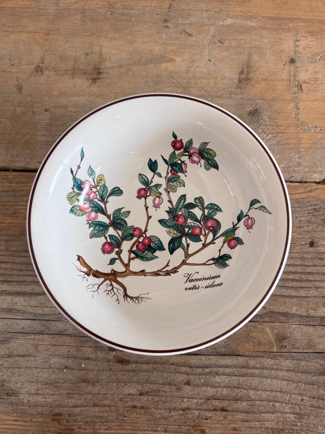 Villeroy & Boch Botanica schaaltje, Botanica collectie, Vaccinium vitis-idaea schaaltje, botanisch porselein, Villeroy & Boch porselein, porseleinen schaaltje, natuurgetrouwe illustraties, decoratief schaaltje, servies Villeroy & Boch, luxe servies.