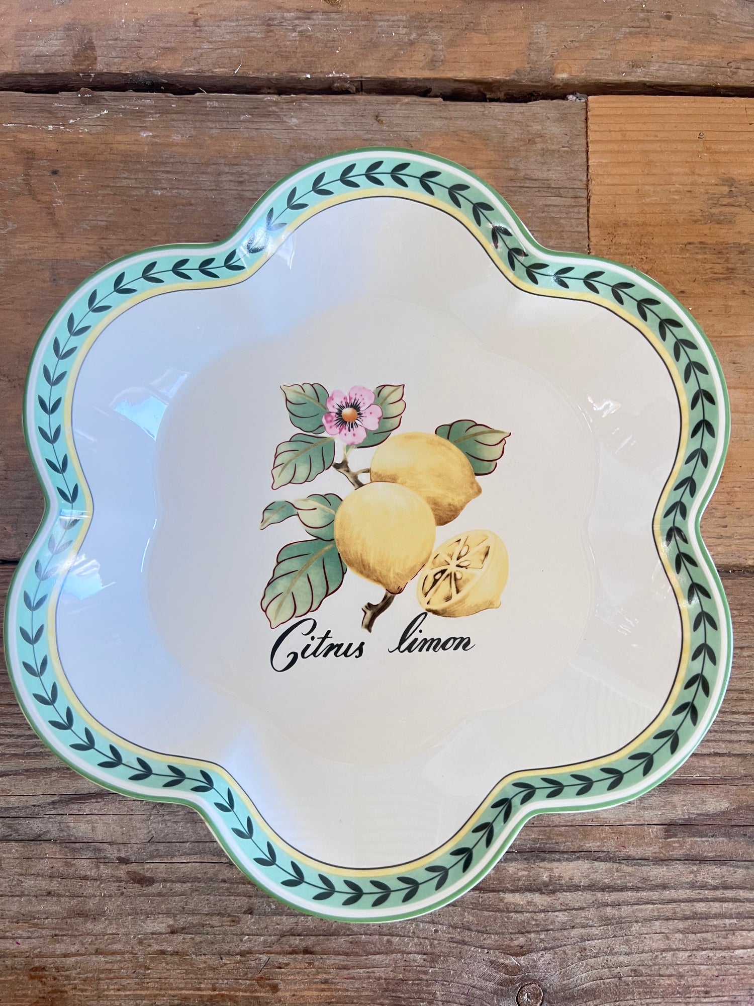 Villeroy en Boch serveerschaal, Citrus Limon serveerschaal, French Garden Charm porselein, Villeroy &amp;amp; Boch porseleinen schaal, French Garden Charm collectie, serveerschaal porselein, serveerschalen Villeroy &amp;amp; Boch, elegant servies, Franse tuinmotieven servies, premium serveerschaal