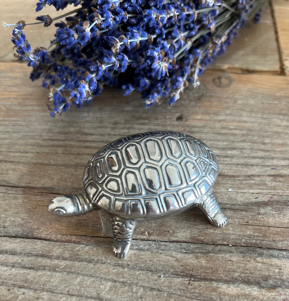 Pillendoosje schildpad