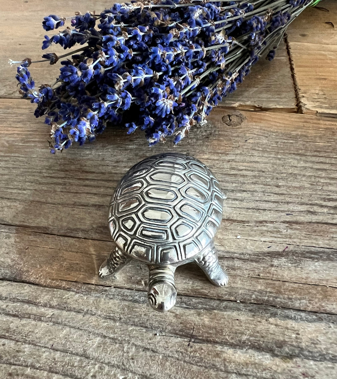 Pillendoosje schildpad