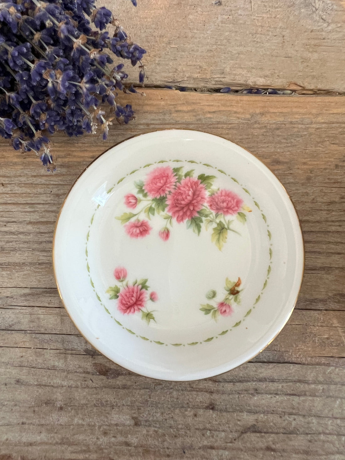 Flower of the month November Royal Albert