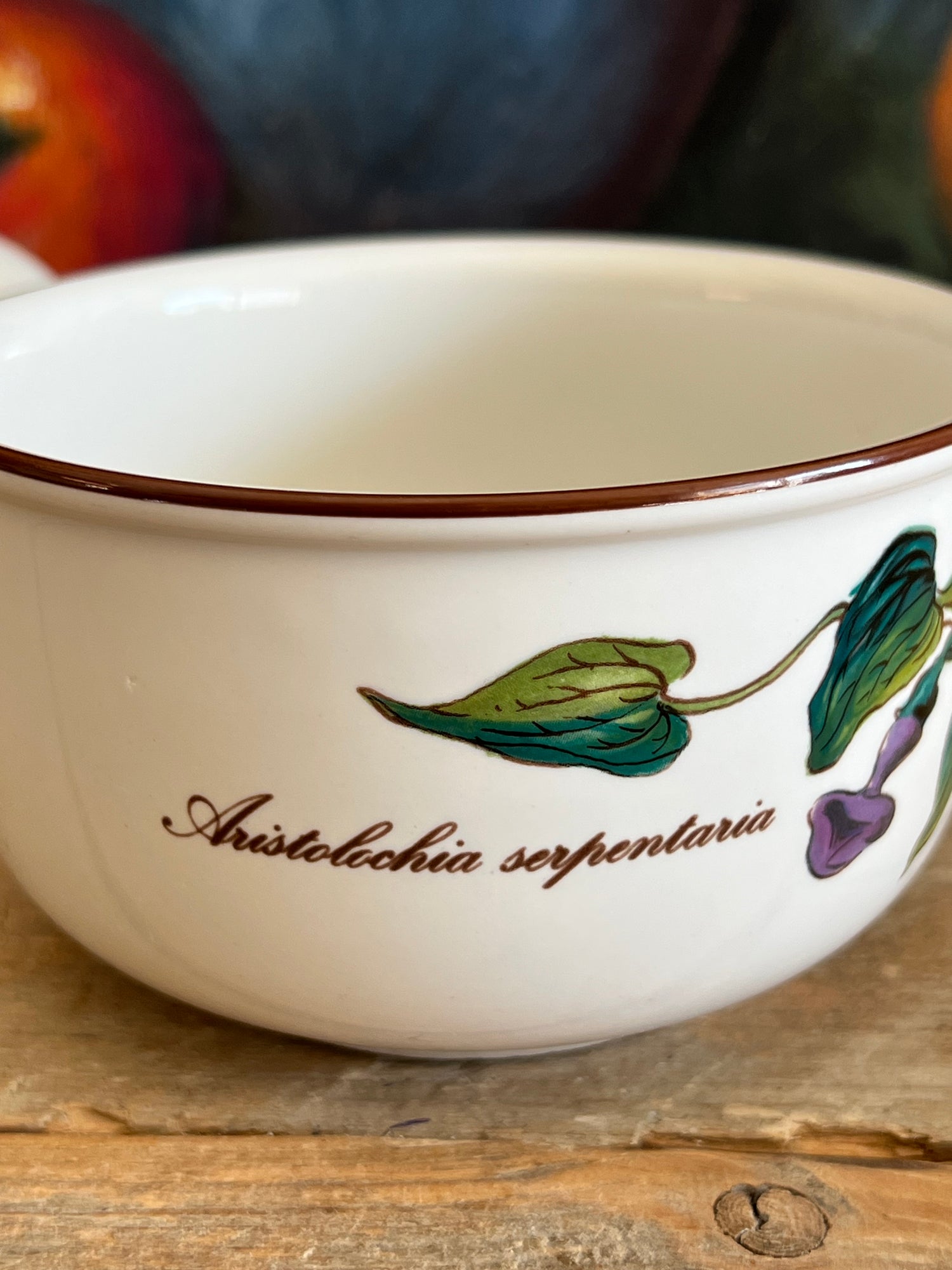 Villeroy &amp; Boch Botanica sauskom