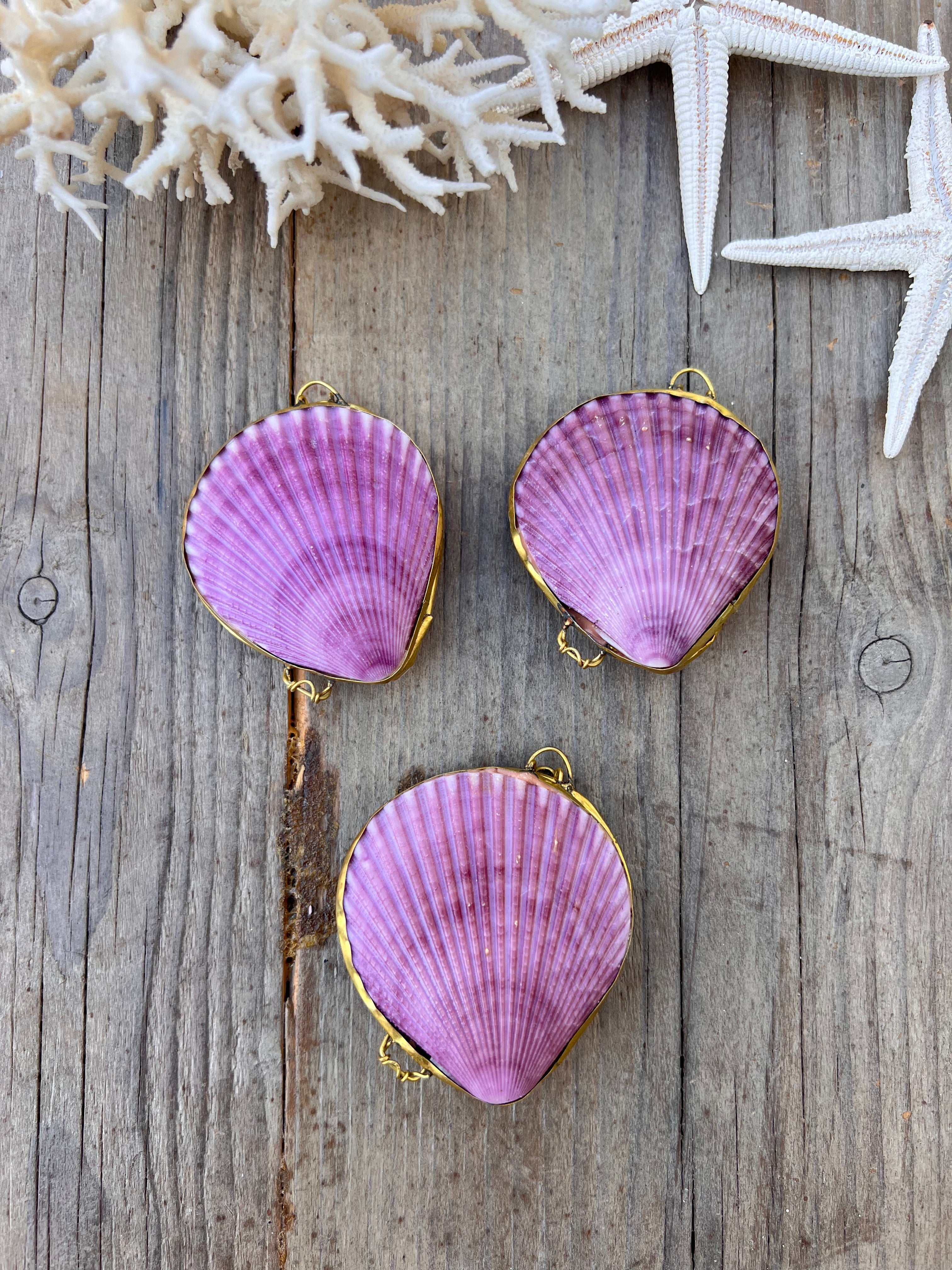schelpdoosje met knipsluiting, zeemeerminnen portemonnee, doosje van echte schelpen, schelpen bewaardoosje, klein opbergdoosje sieraden, schelp accessoires, maritiem doosje, handgemaakt schelp doosje, vintage schelp portemonnee, uniek sieraden doosje