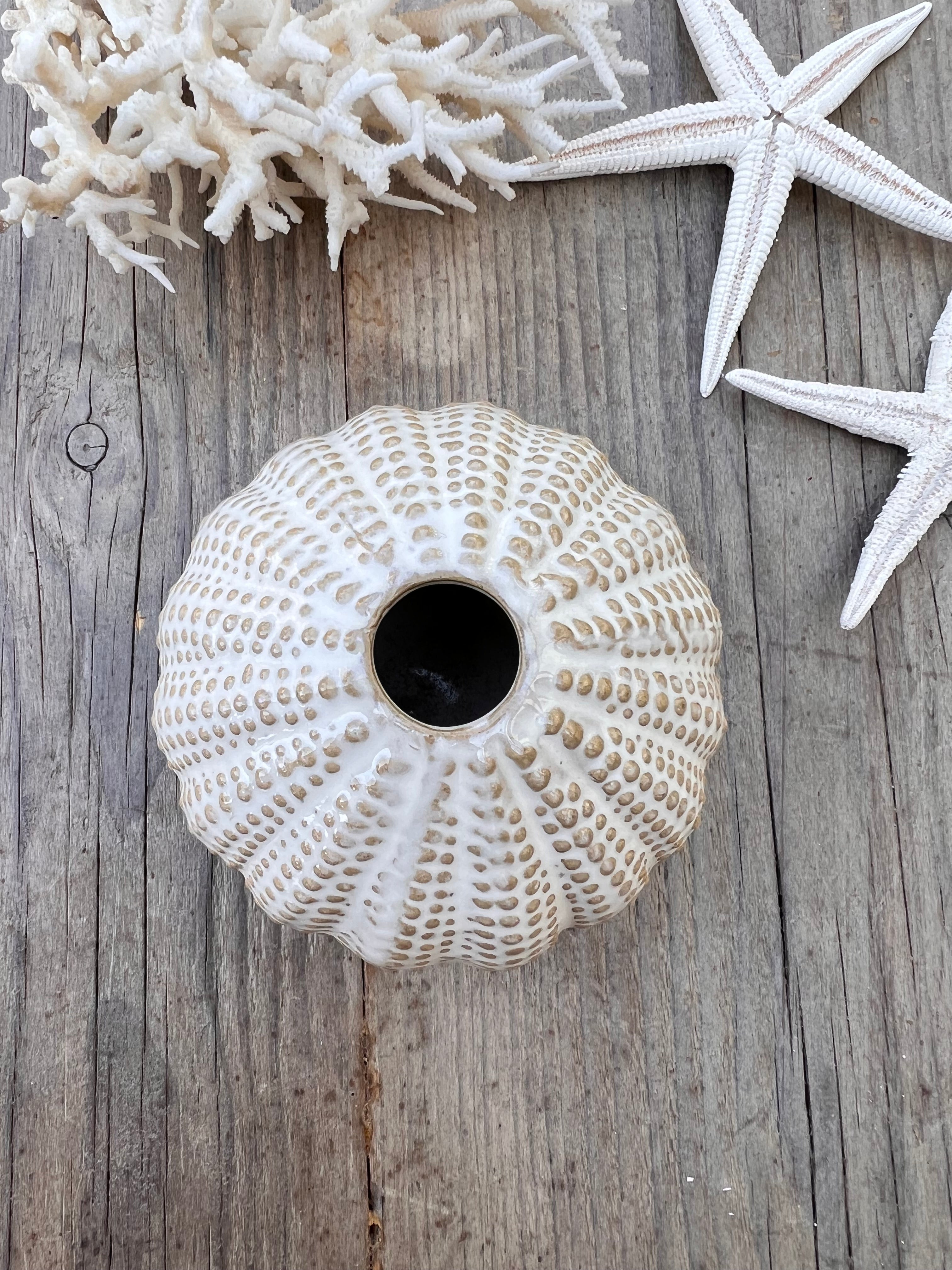 - vaasje zee-egel &amp;nbsp;
- zee-egel vaasje beige &amp;nbsp;
- decoratief vaasje maritiem &amp;nbsp;
- beige vaasje interieur &amp;nbsp;
- klein vaasje bloemenschaal &amp;nbsp;
- uniek vaasje natuur inspiratie &amp;nbsp;
- zee-egel decoratie &amp;nbsp;
- vaas maritiem design &amp;nbsp;