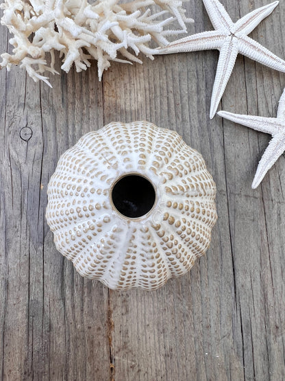 - vaasje zee-egel &amp;nbsp;
- zee-egel vaasje beige &amp;nbsp;
- decoratief vaasje maritiem &amp;nbsp;
- beige vaasje interieur &amp;nbsp;
- klein vaasje bloemenschaal &amp;nbsp;
- uniek vaasje natuur inspiratie &amp;nbsp;
- zee-egel decoratie &amp;nbsp;
- vaas maritiem design &amp;nbsp;