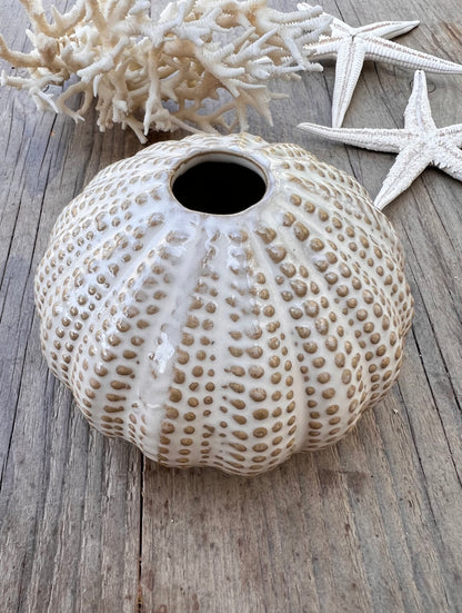 - vaasje zee-egel &amp;nbsp;
- zee-egel vaasje beige &amp;nbsp;
- decoratief vaasje maritiem &amp;nbsp;
- beige vaasje interieur &amp;nbsp;
- klein vaasje bloemenschaal &amp;nbsp;
- uniek vaasje natuur inspiratie &amp;nbsp;
- zee-egel decoratie &amp;nbsp;
- vaas maritiem design &amp;nbsp;