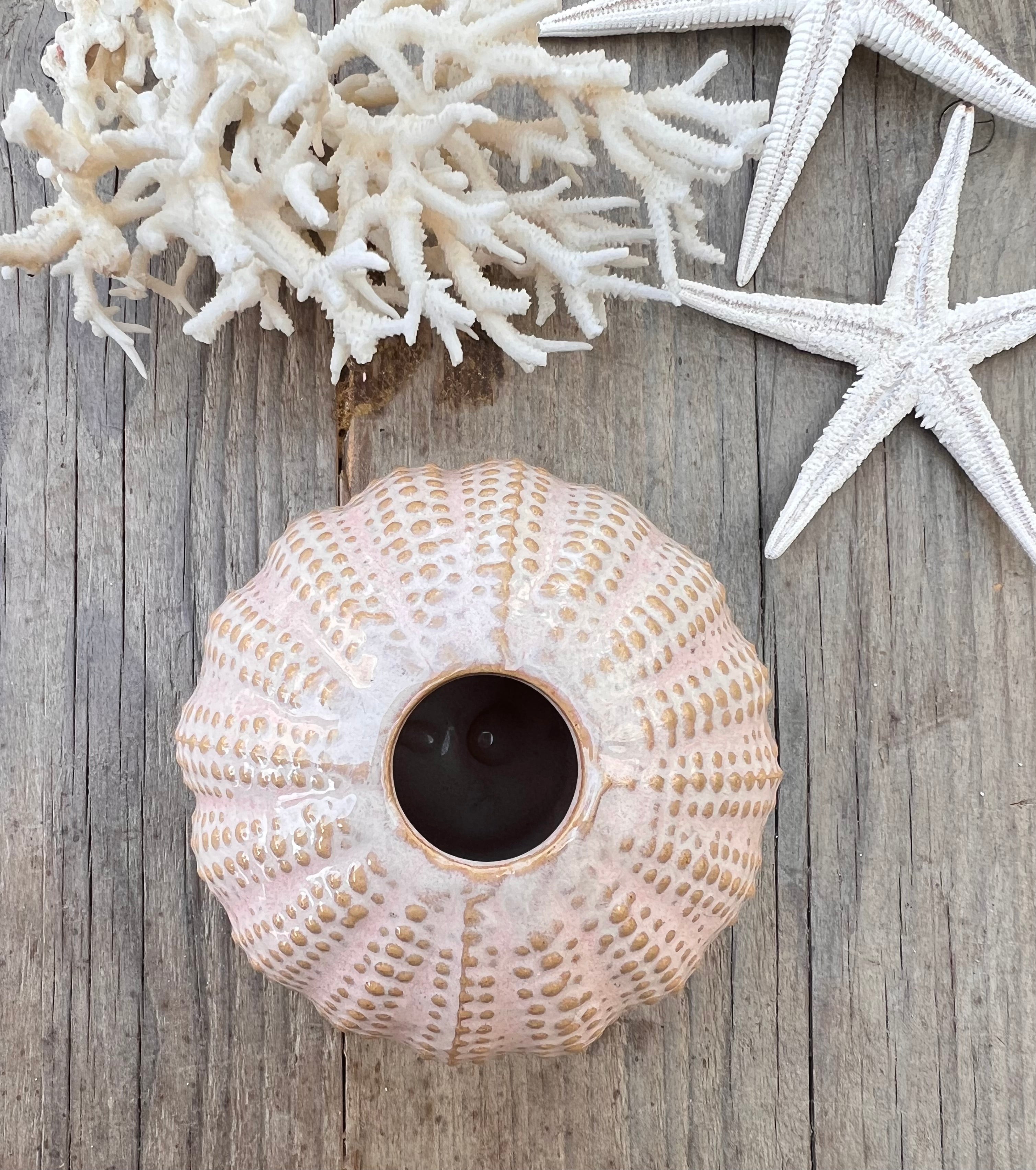 - vaasje zee-egel &amp;nbsp;
- zee-egel vaasje beige &amp;nbsp;
- decoratief vaasje maritiem &amp;nbsp;
- beige vaasje interieur &amp;nbsp;
- klein vaasje bloemenschaal &amp;nbsp;
- uniek vaasje natuur inspiratie &amp;nbsp;
- zee-egel decoratie &amp;nbsp;
- vaas maritiem design