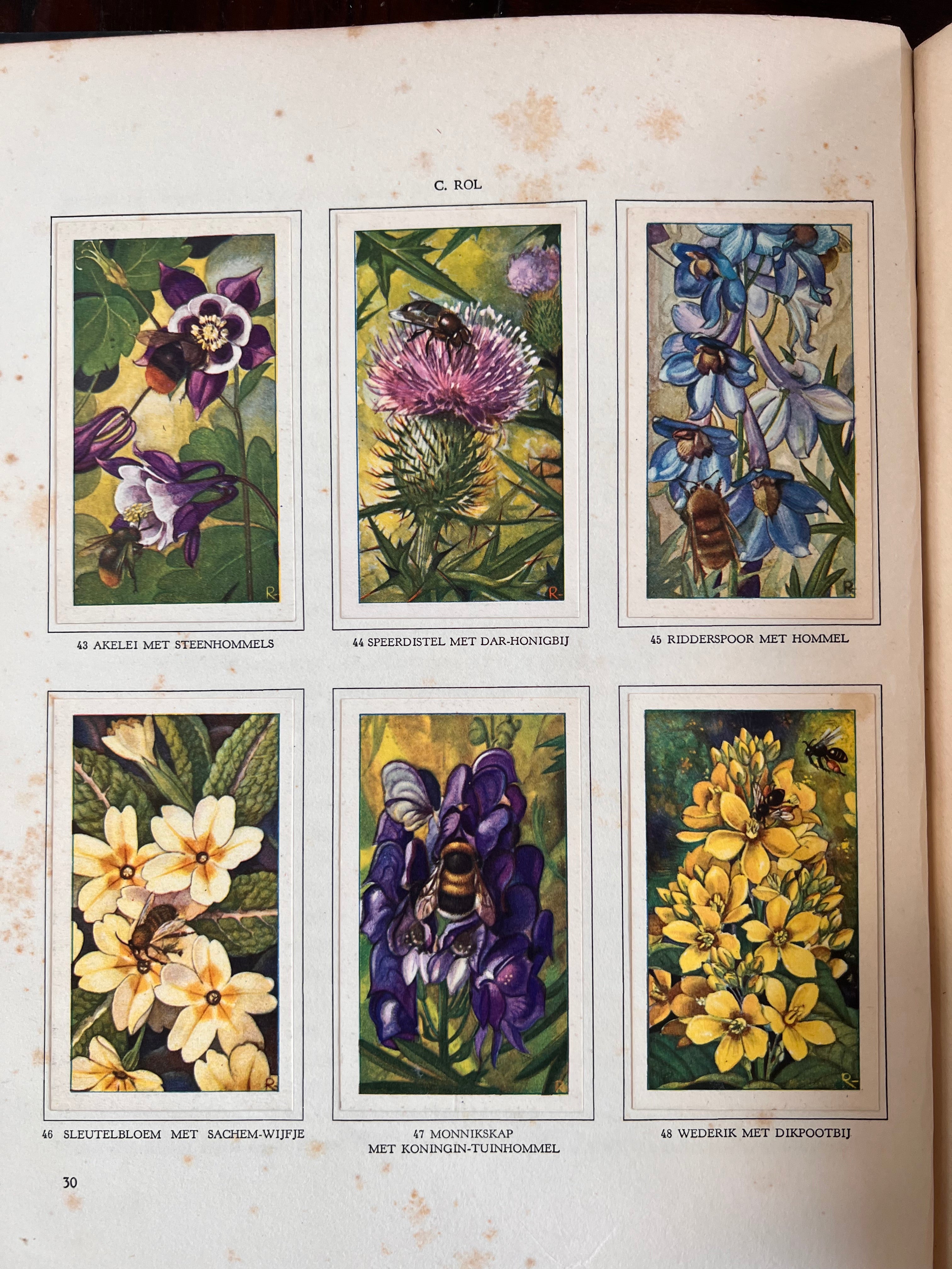 Antiek Verkade plaatjesboek De Bloemen en haar vrienden