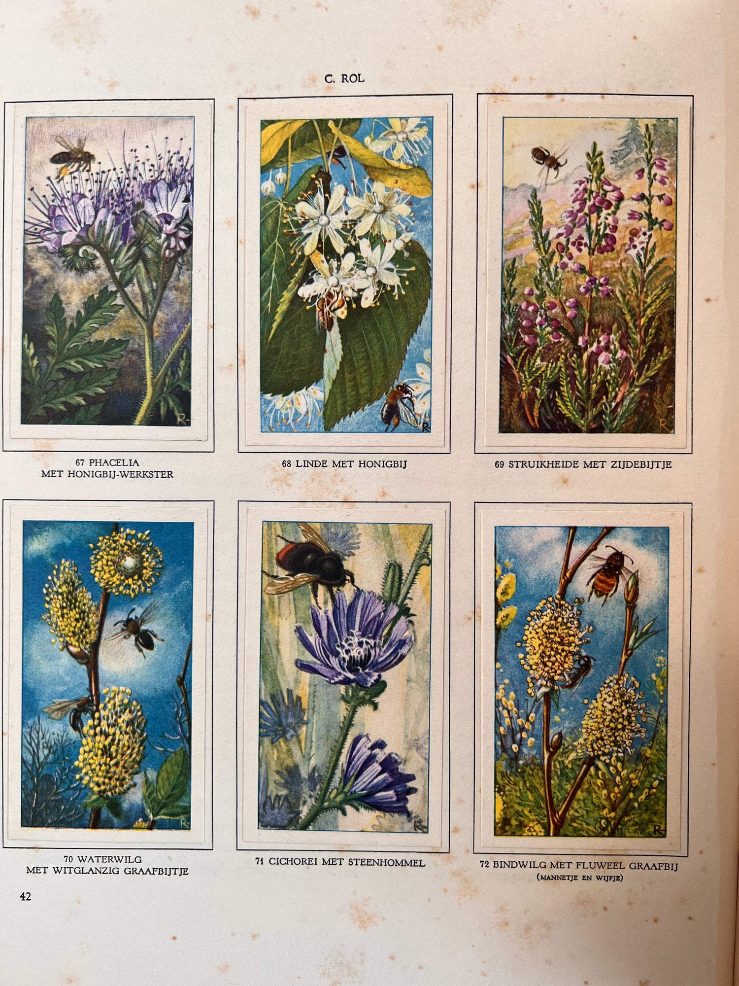 Antiek Verkade plaatjesboek De Bloemen en haar vrienden